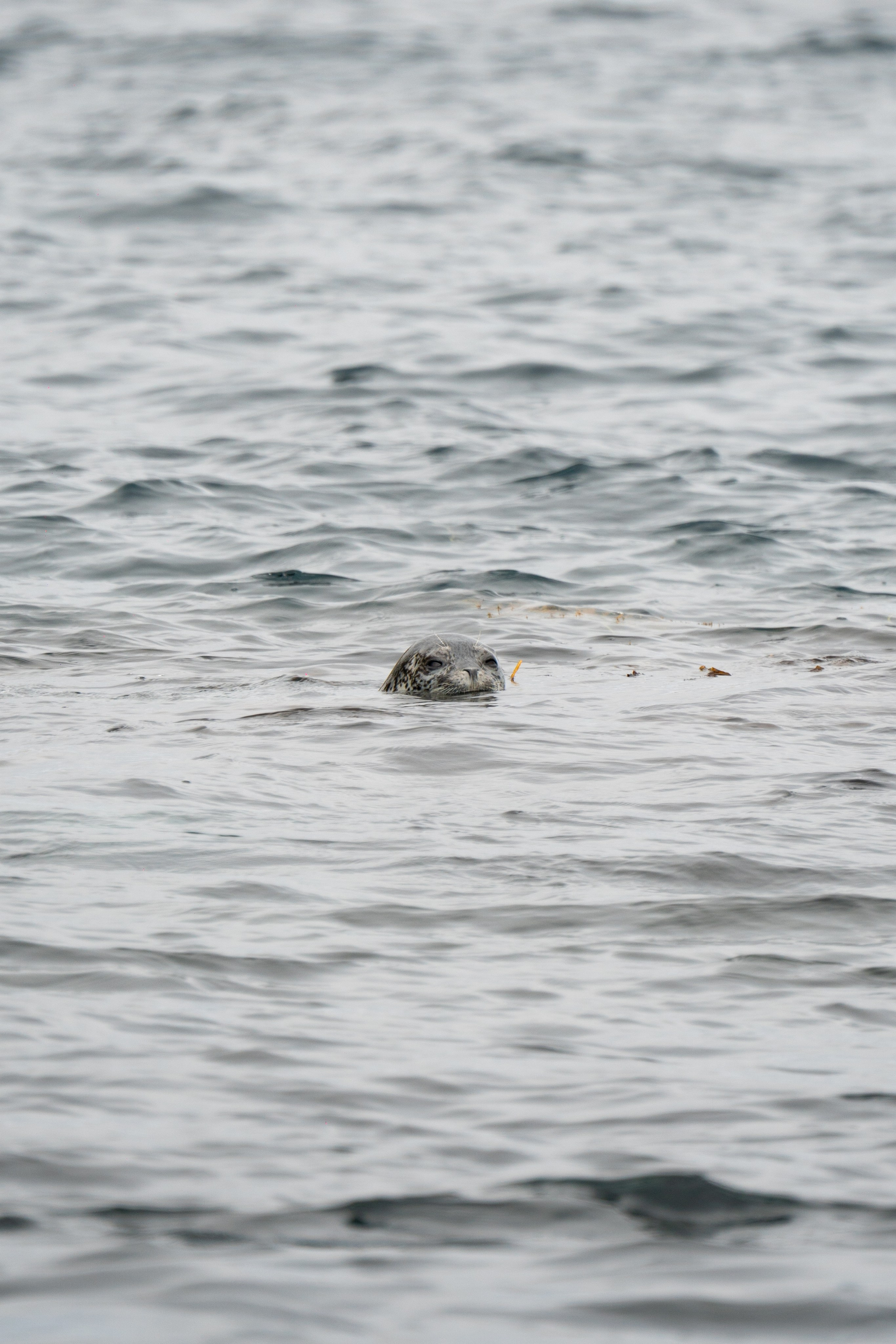 Сахалин. Gusarov Travel Photography