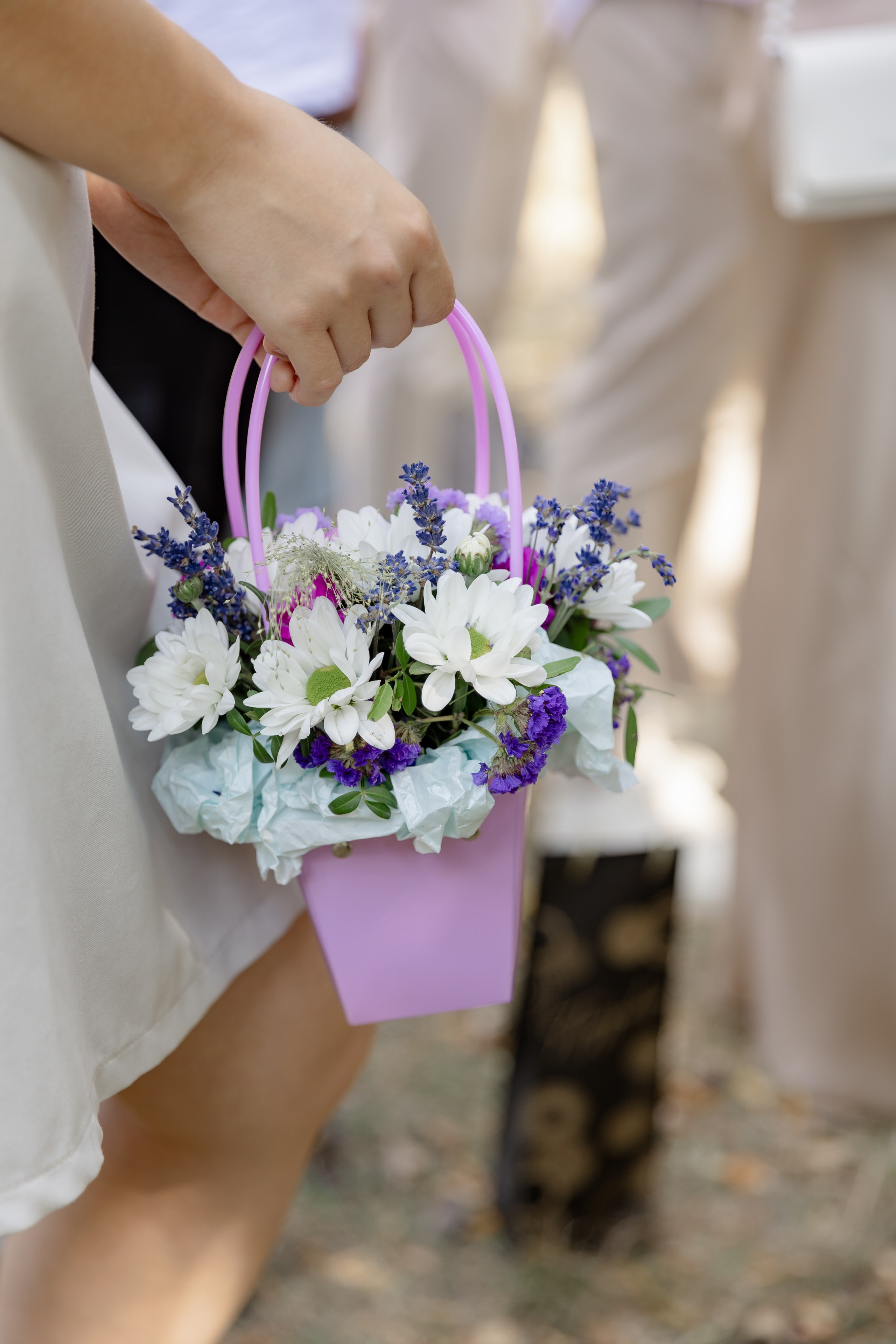 Виноградники. Dima Lemeshevsky