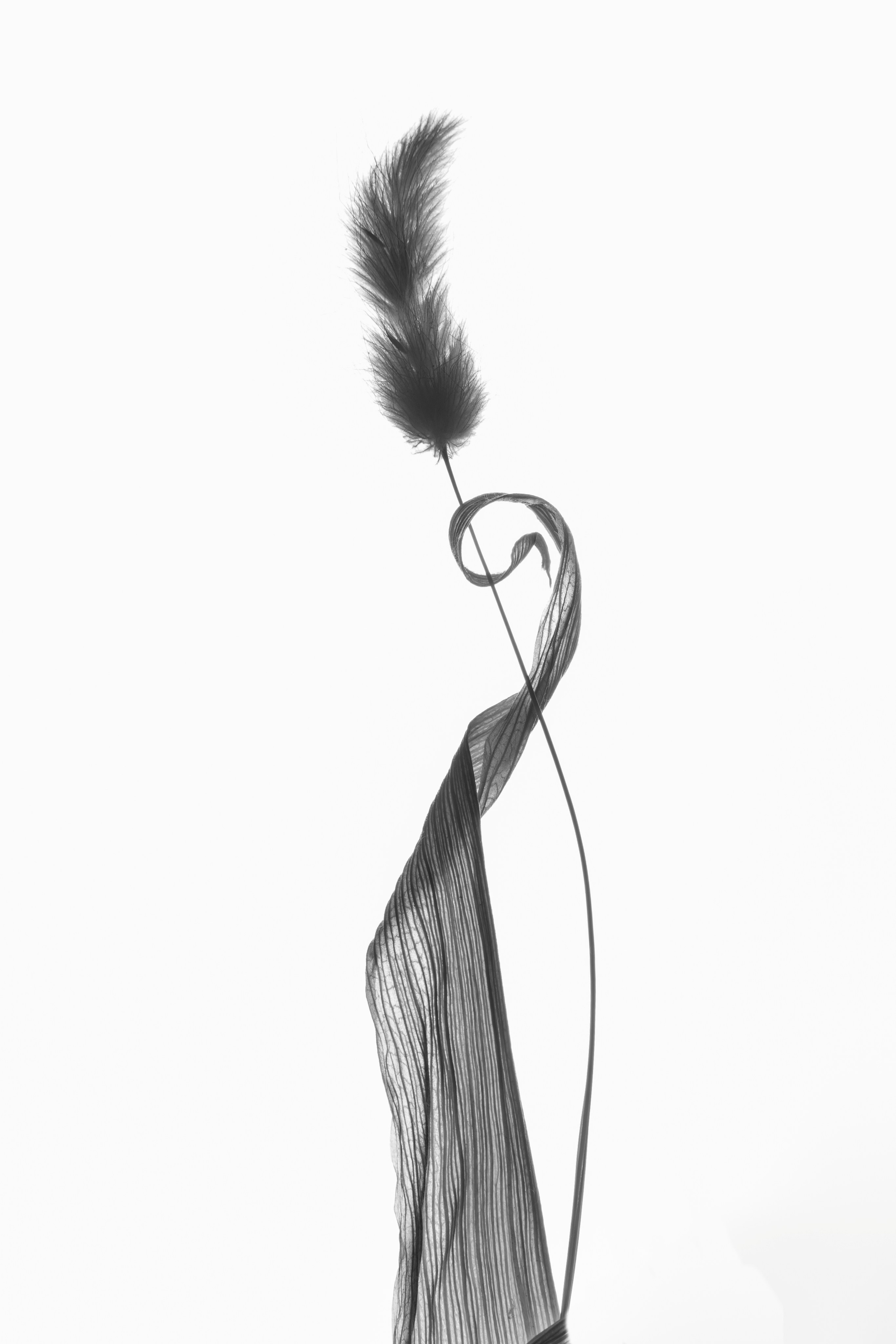 Цветы тревоги. Ксюша Черотченко — фотограф из Санкт-Петербурга