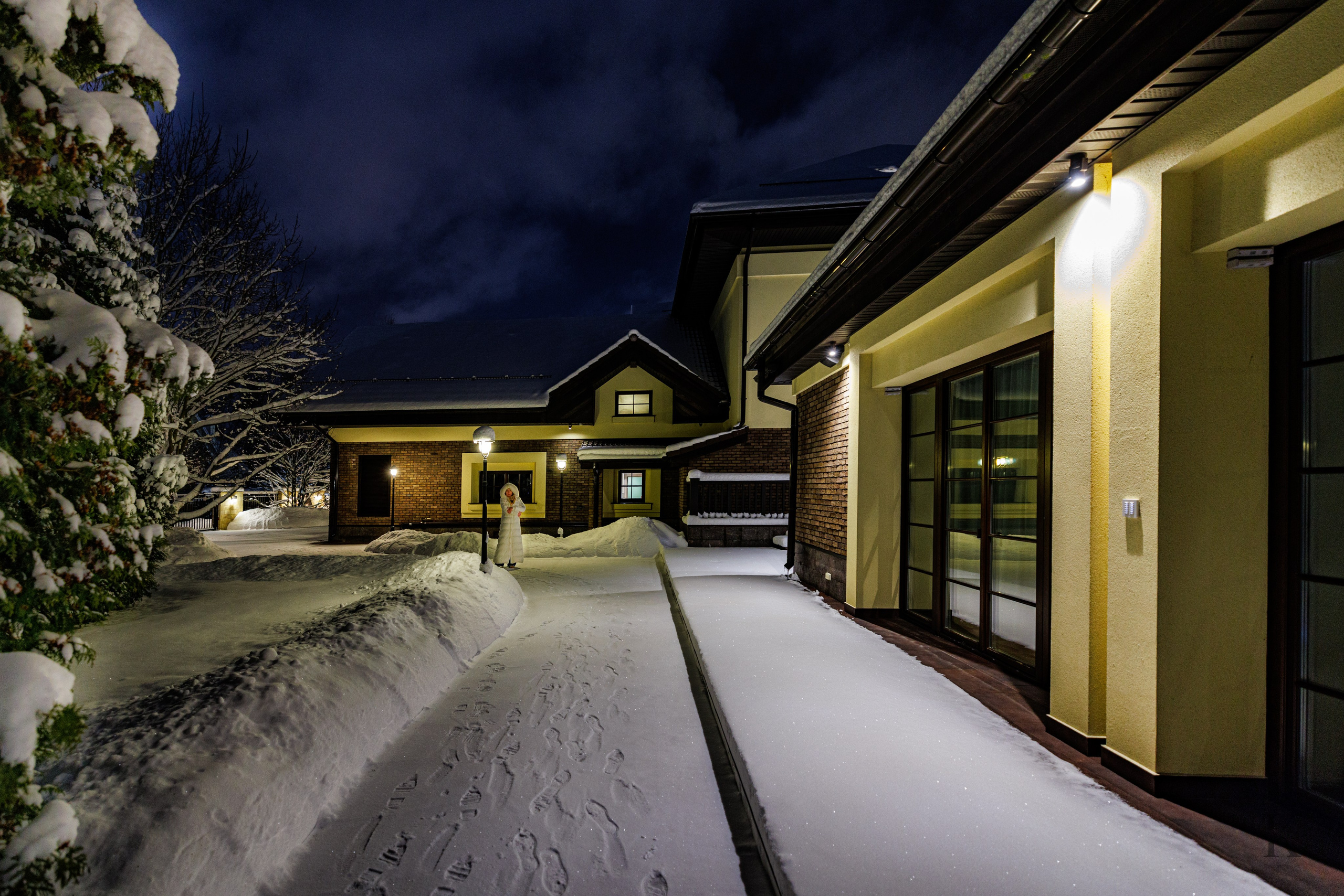 Природа 31 Декабря 2025 года. Клены. Фотографирую жизнь! Московский фотограф волонтер