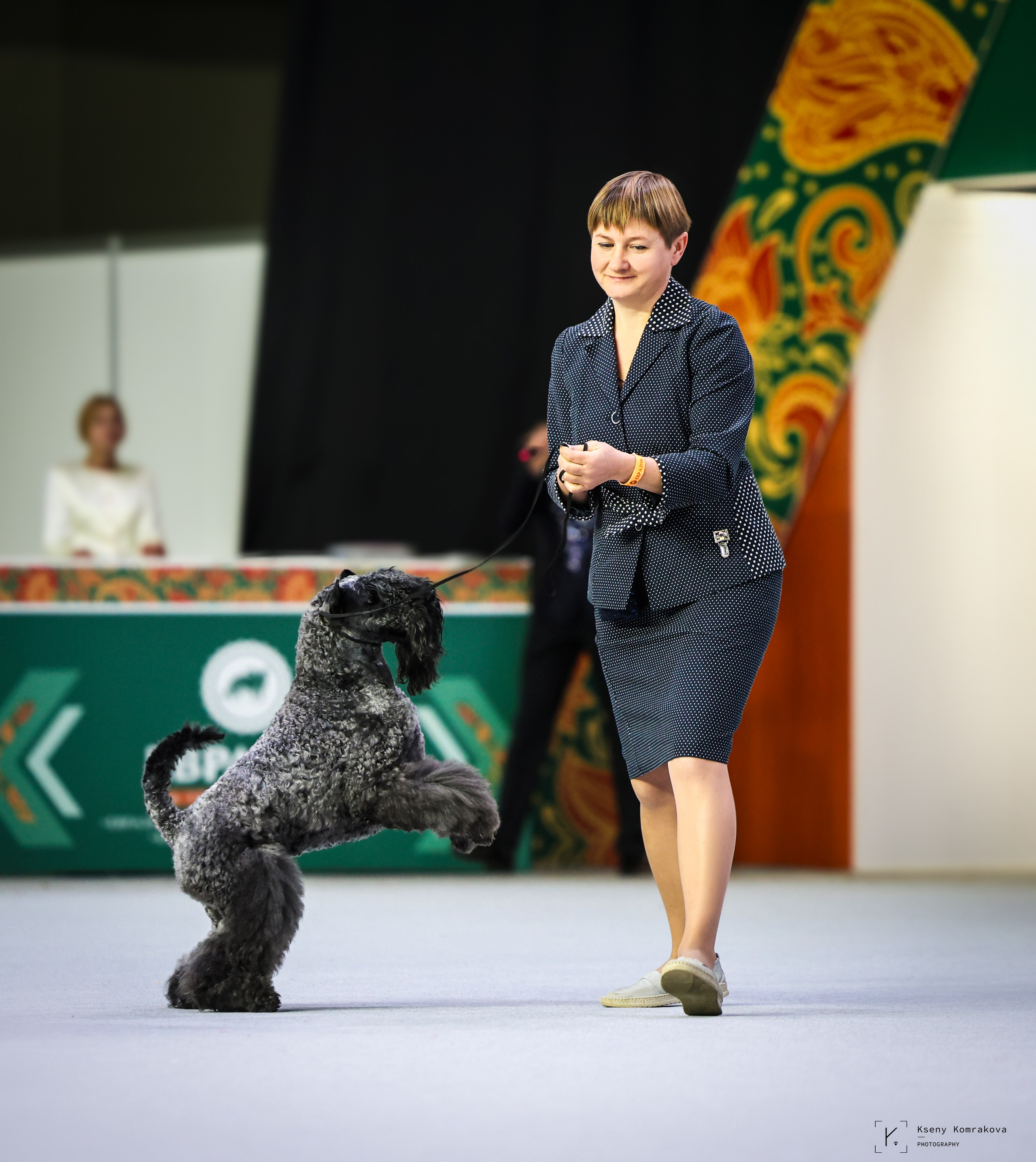 Анималистика. Репортаж. Индивидуальная съемка