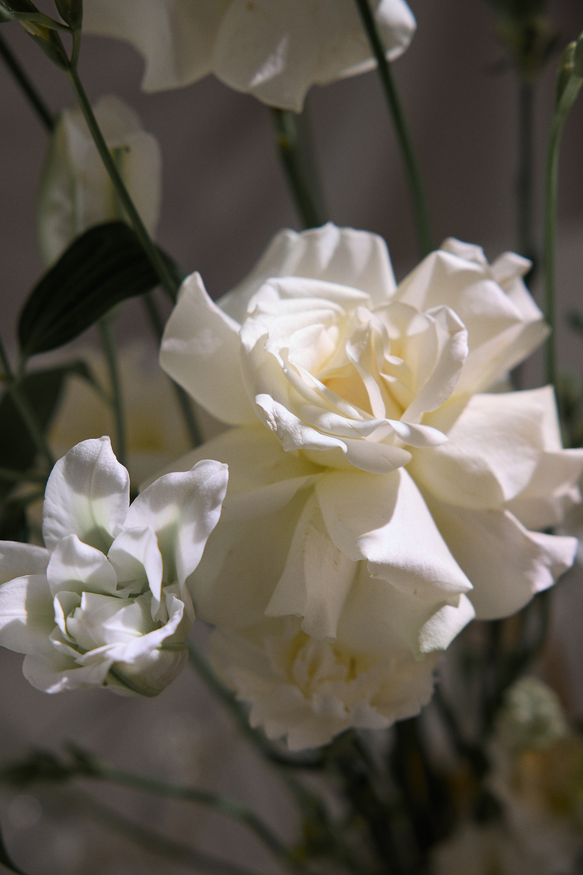 Дарья и Сергей. Свадебный фотограф Москва Калуга