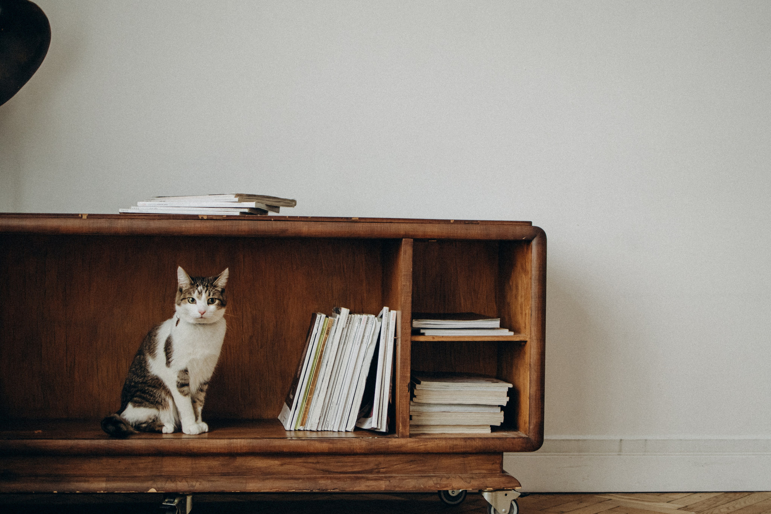 Ксюша и Яша. Фотораф — анималист Мария Шистка