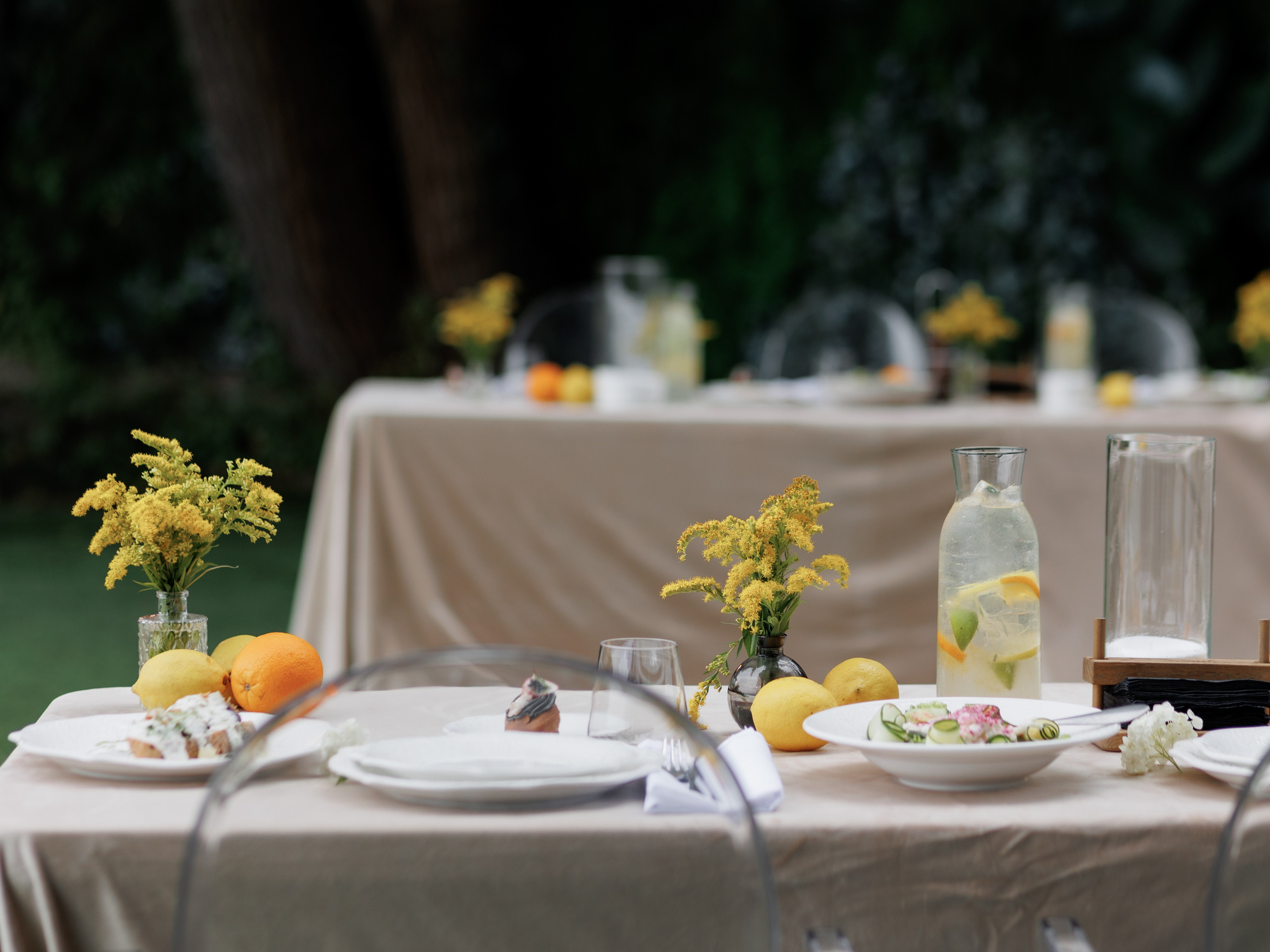 День рождения на берегу озера. Свадебный и семейный фотограф в Калининграде Ольга Мешечкова
