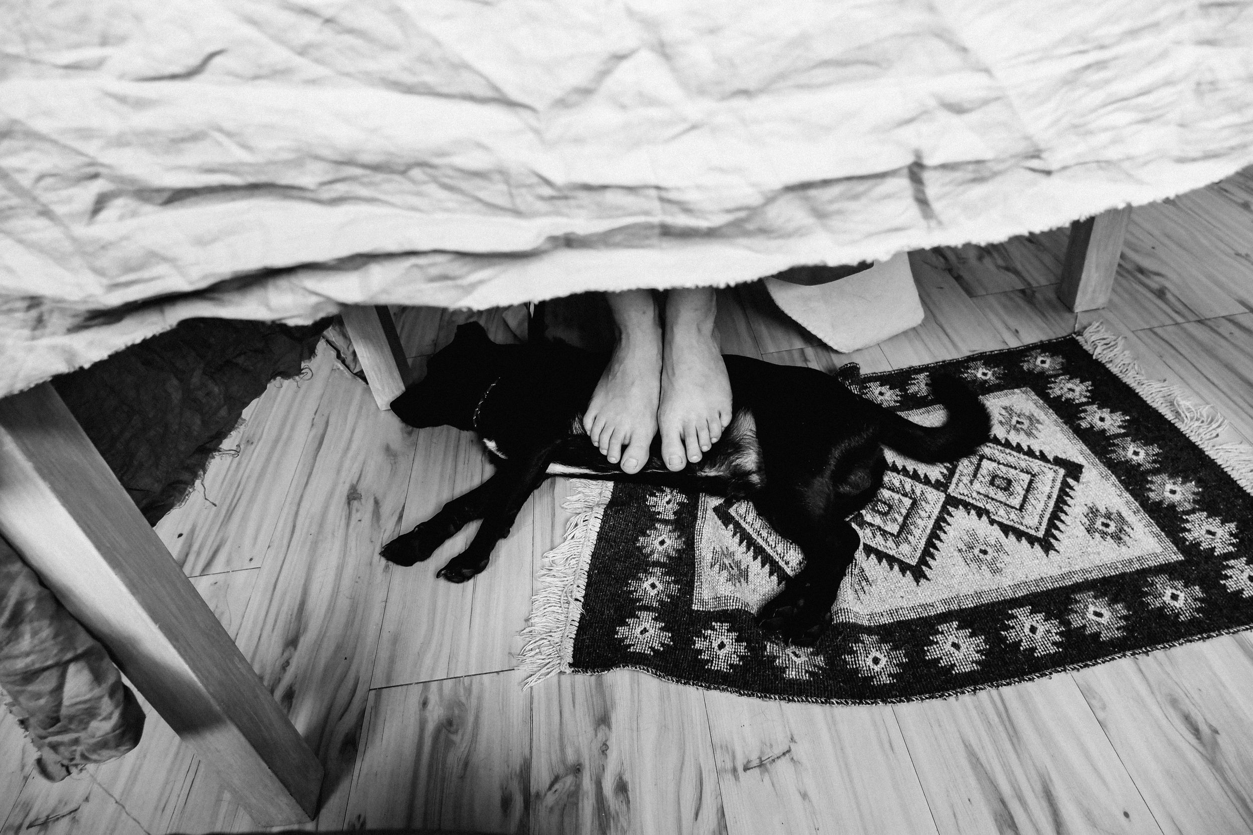 Домашняя съёмка у Кати. Портретный фотограф в Краснодаре Лена Шевченко