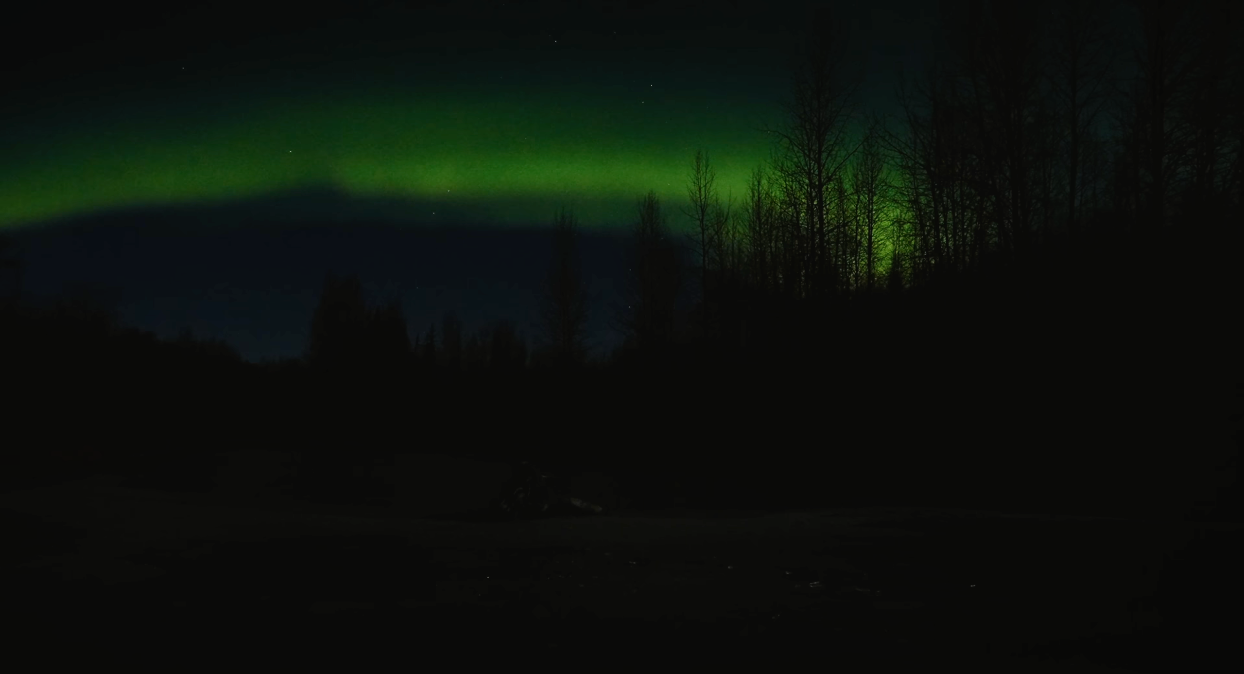 My transformation or how I became homeless in the USA. Tokcolor