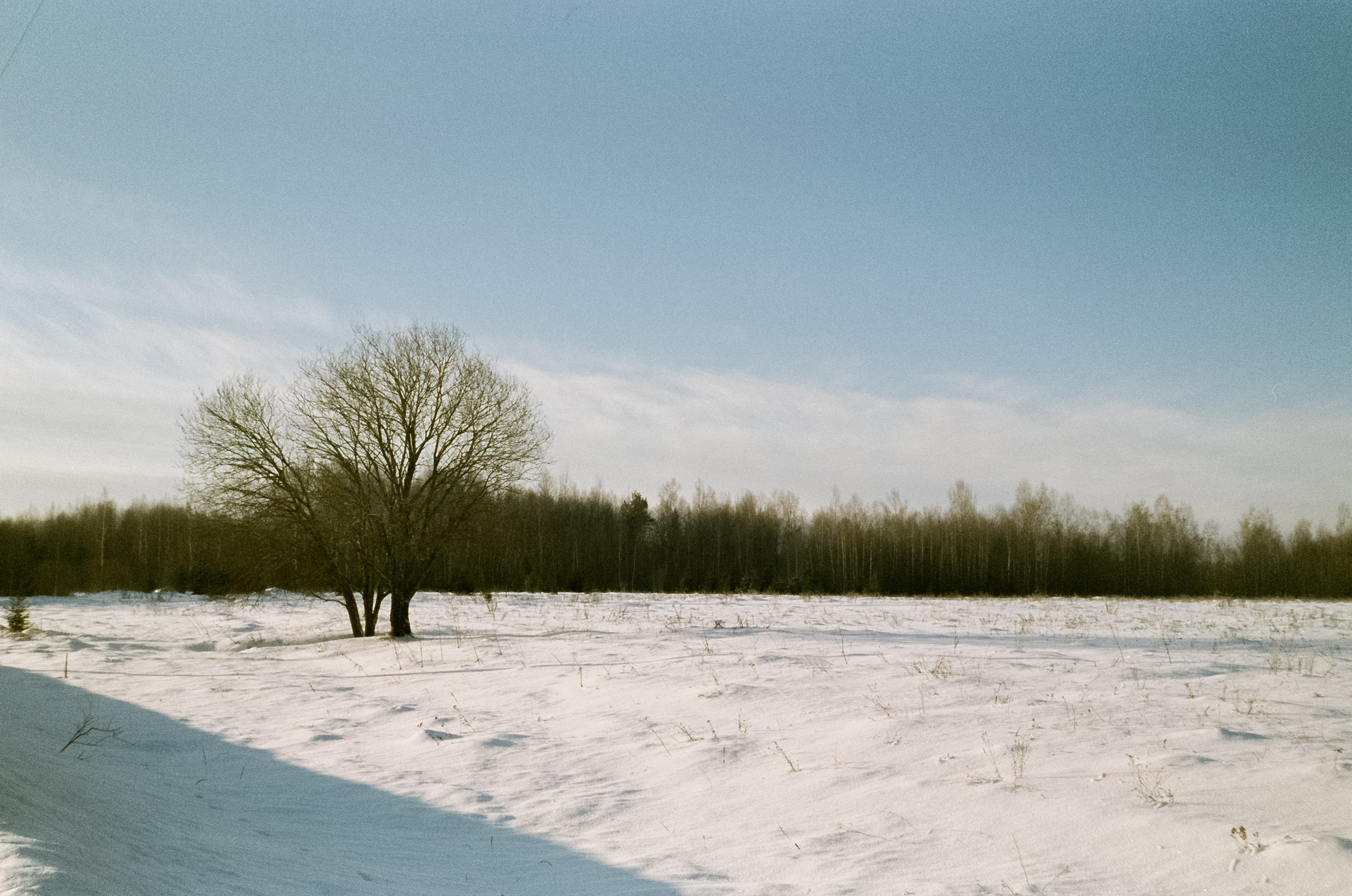 Chinon Auto 3001 (2) / Fuji Eterna 250D (ISO 100) / Давыдовское, Лукин