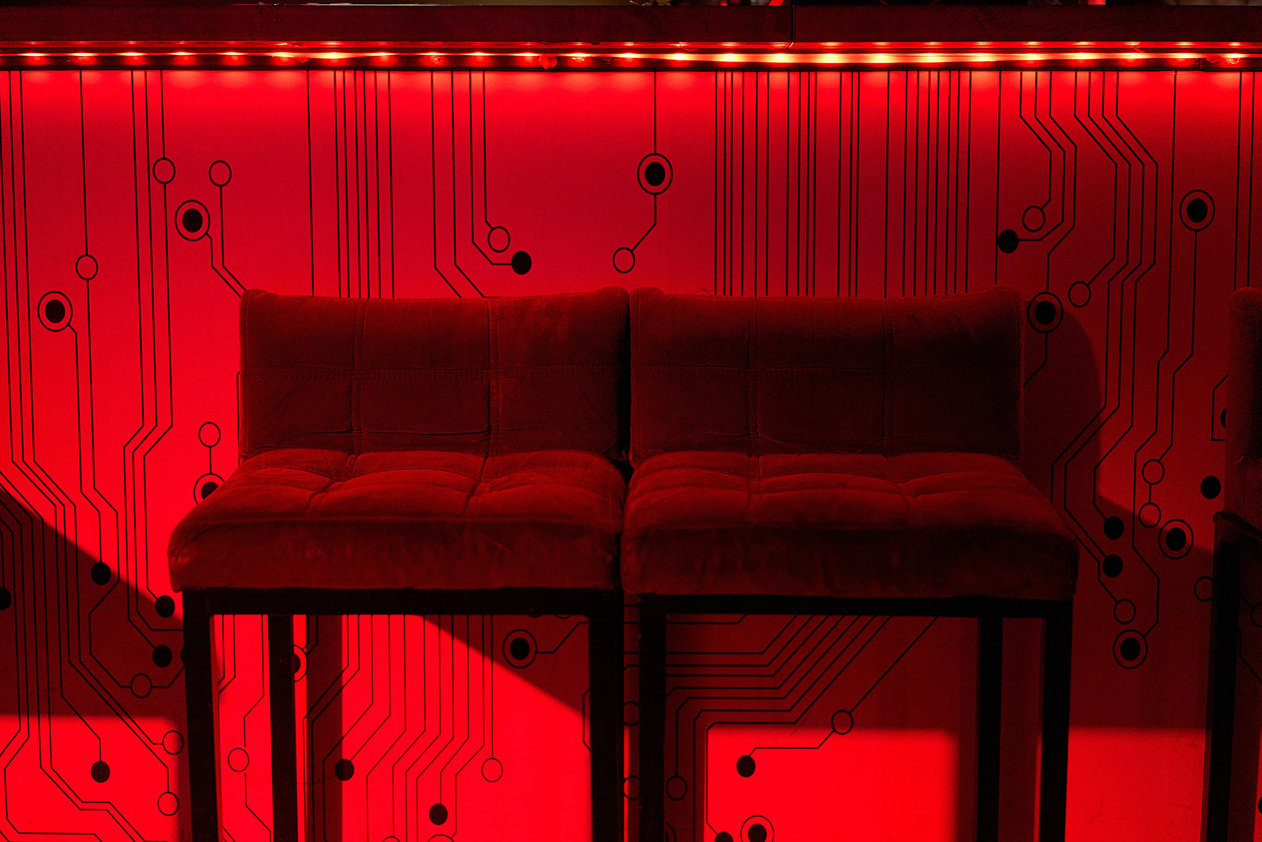 Звезда. Чумаков Алексей Фотограф|Видеограф свадебные, индивидуальные, семейные, репортаж