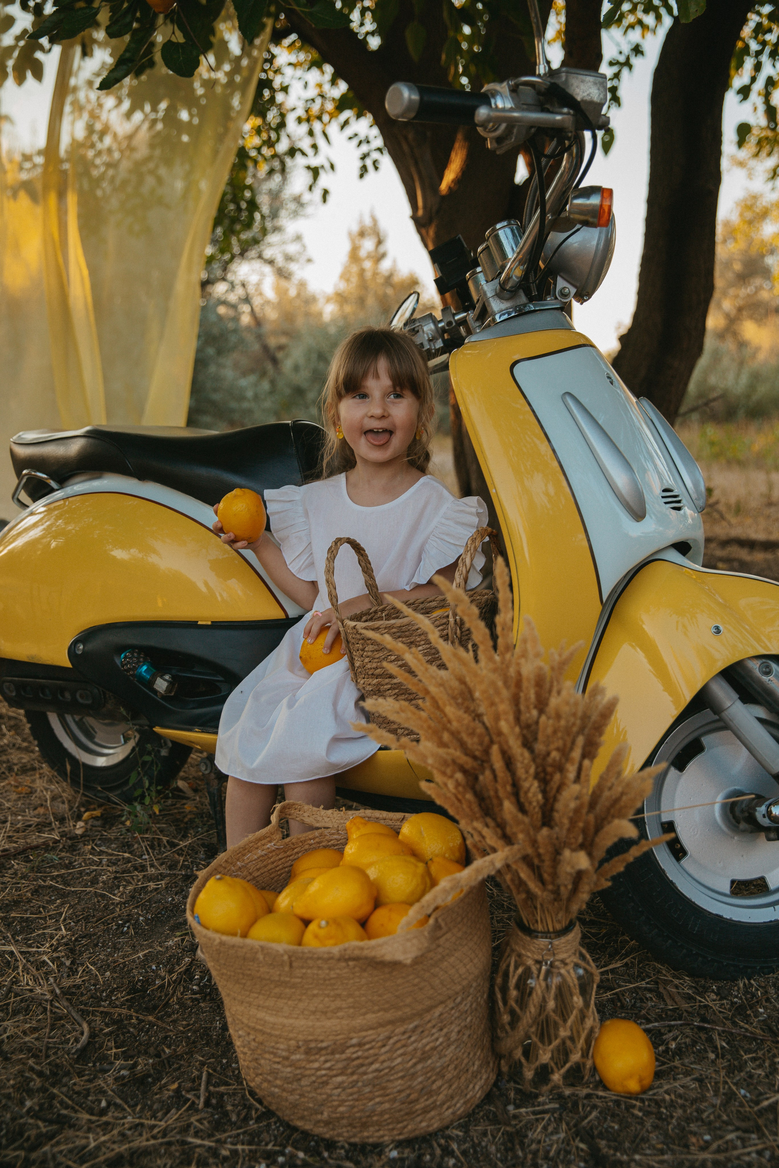 Фотопроект с лимонами