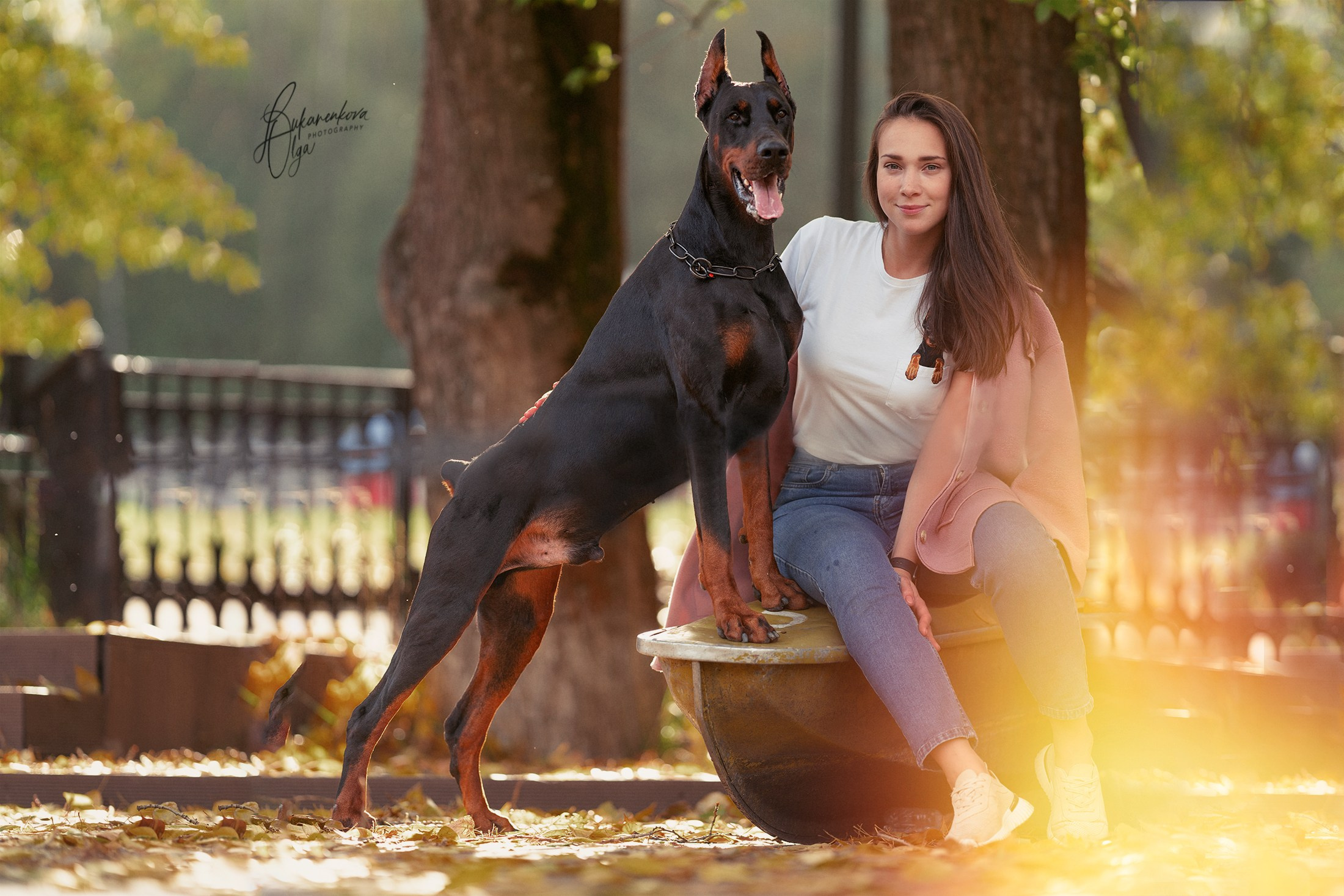 Осенняя рапсодия. Фотограф анималист Ольга Луканенкова в Москве