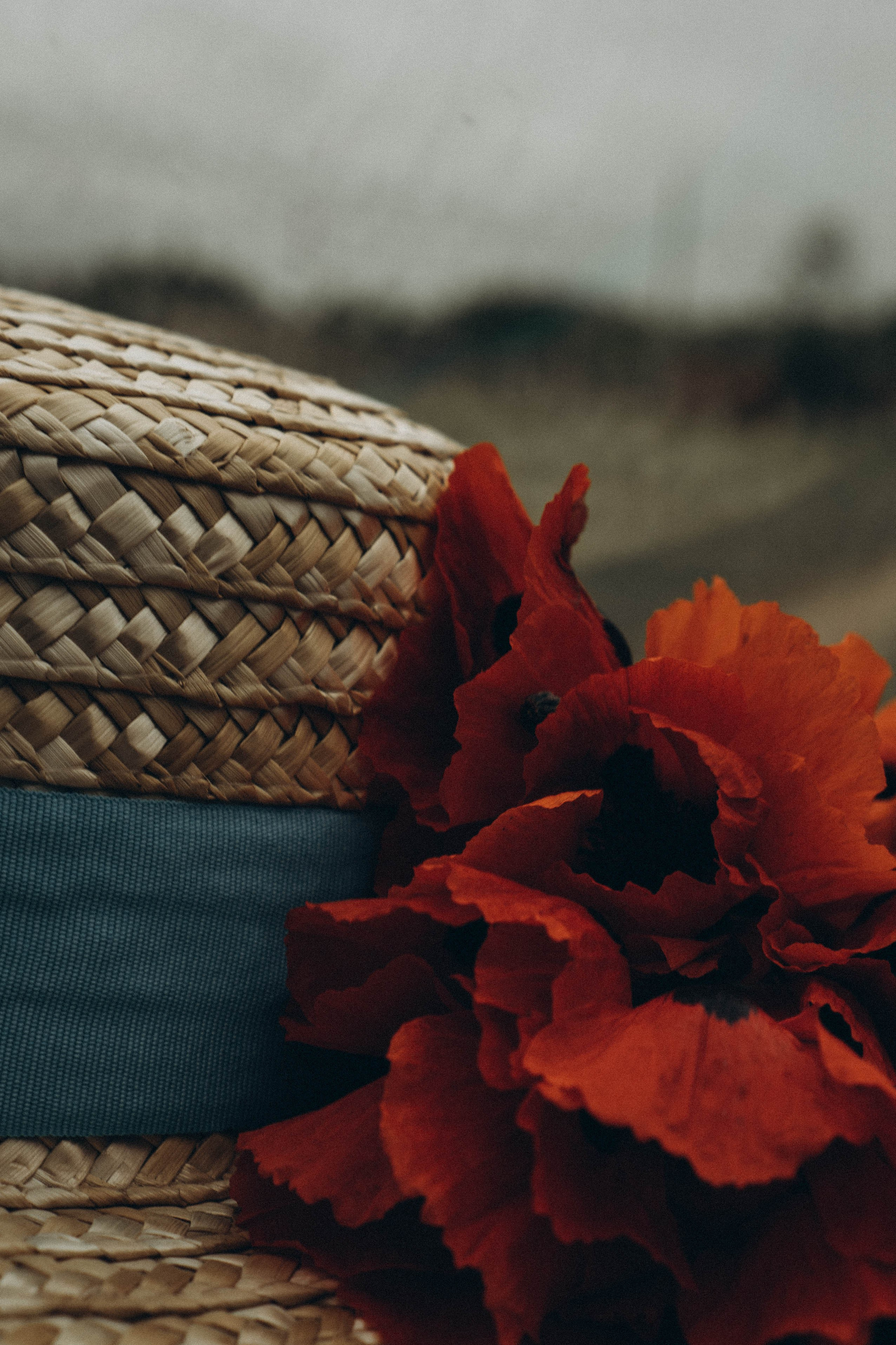 Кавказ. Профессиональный фотограф, Санкт-Петербург — Виктория Богомолова