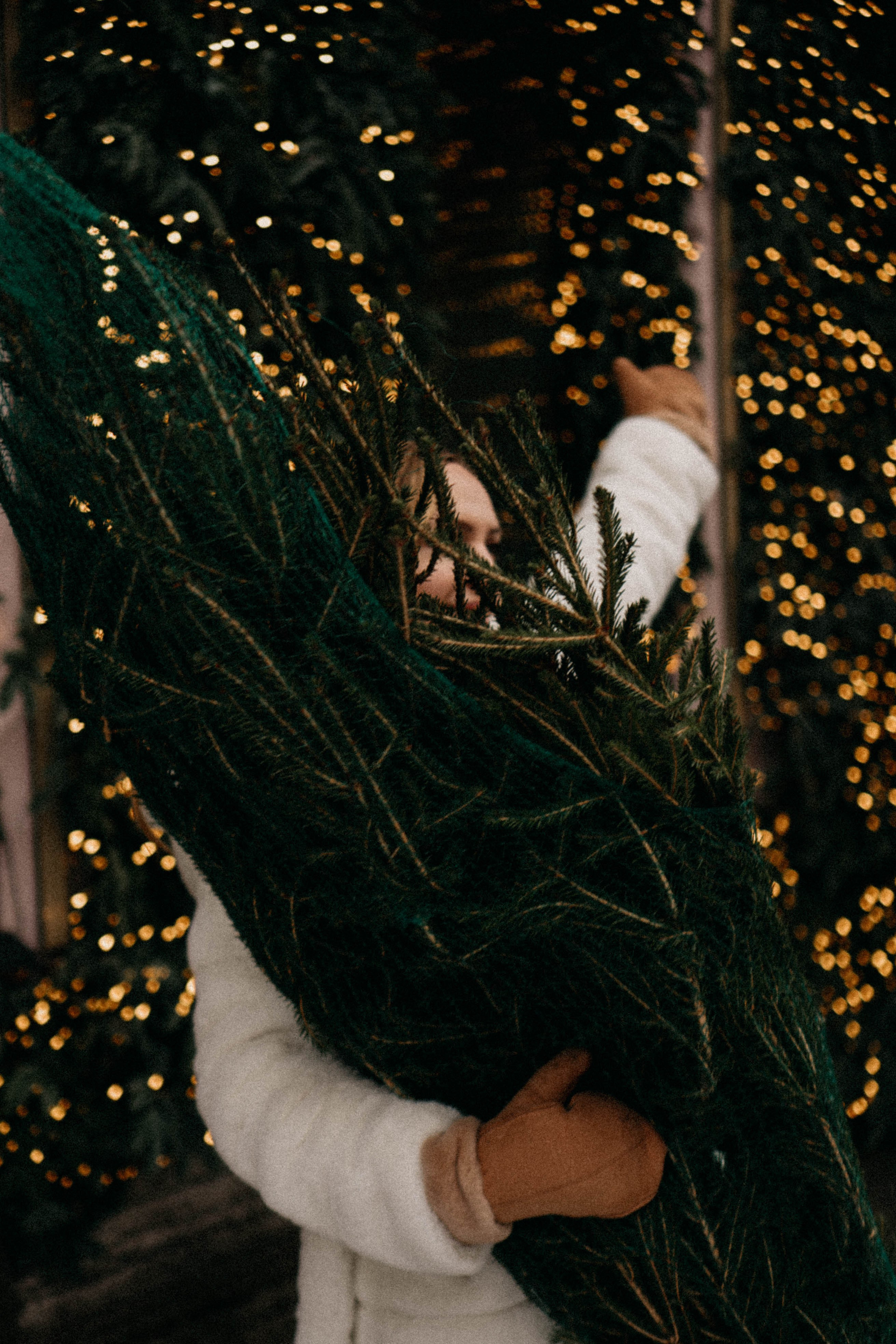 Новогодняя. Профессиональный фотограф, Санкт-Петербург — Виктория Богомолова