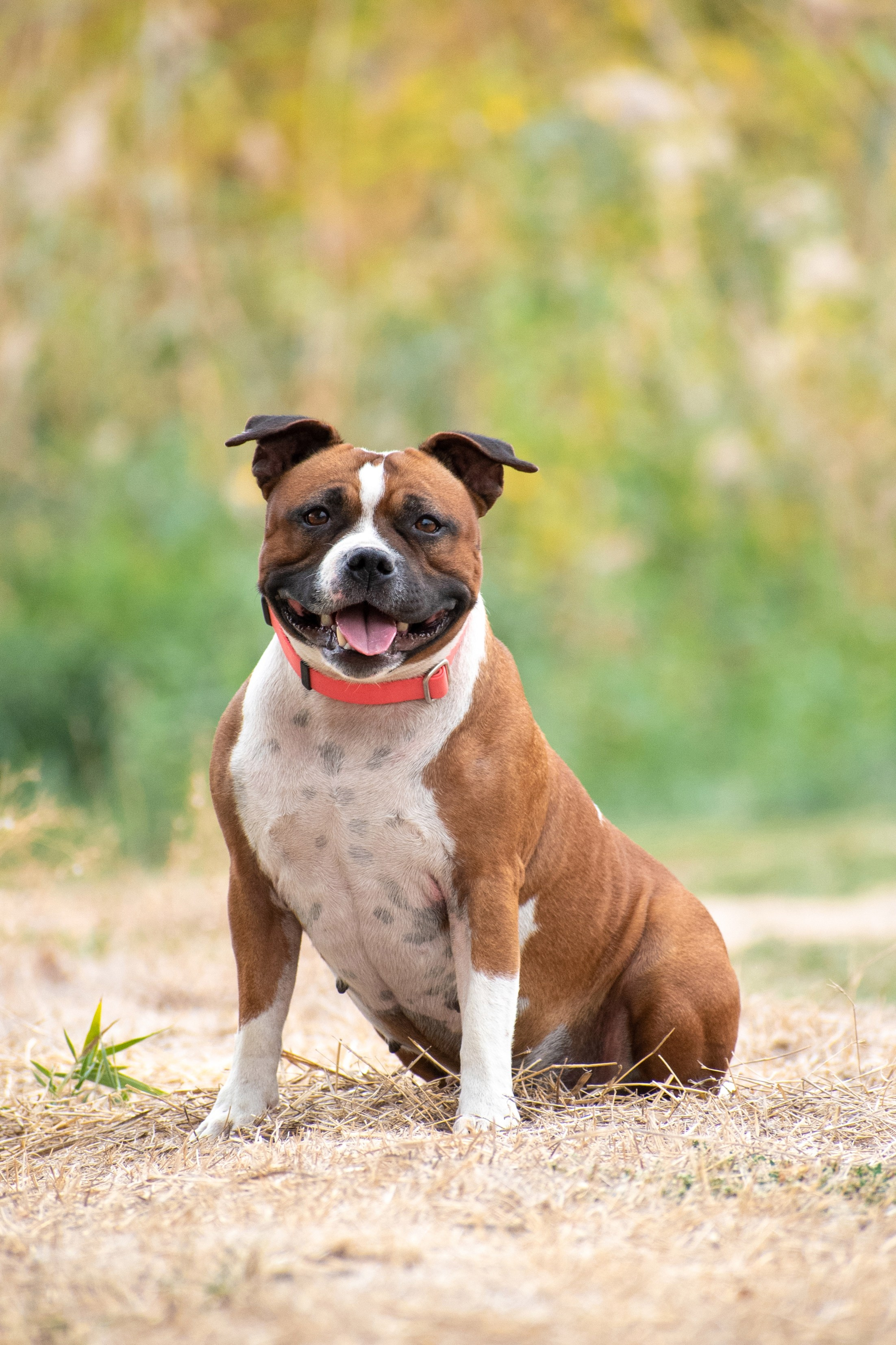 Фотопрогулки. Фотограф анималист в Ростове I Гончарова Анна