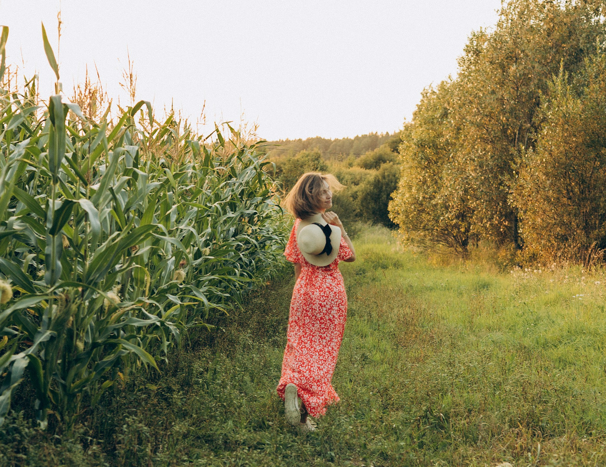 В кукурузе. Главная