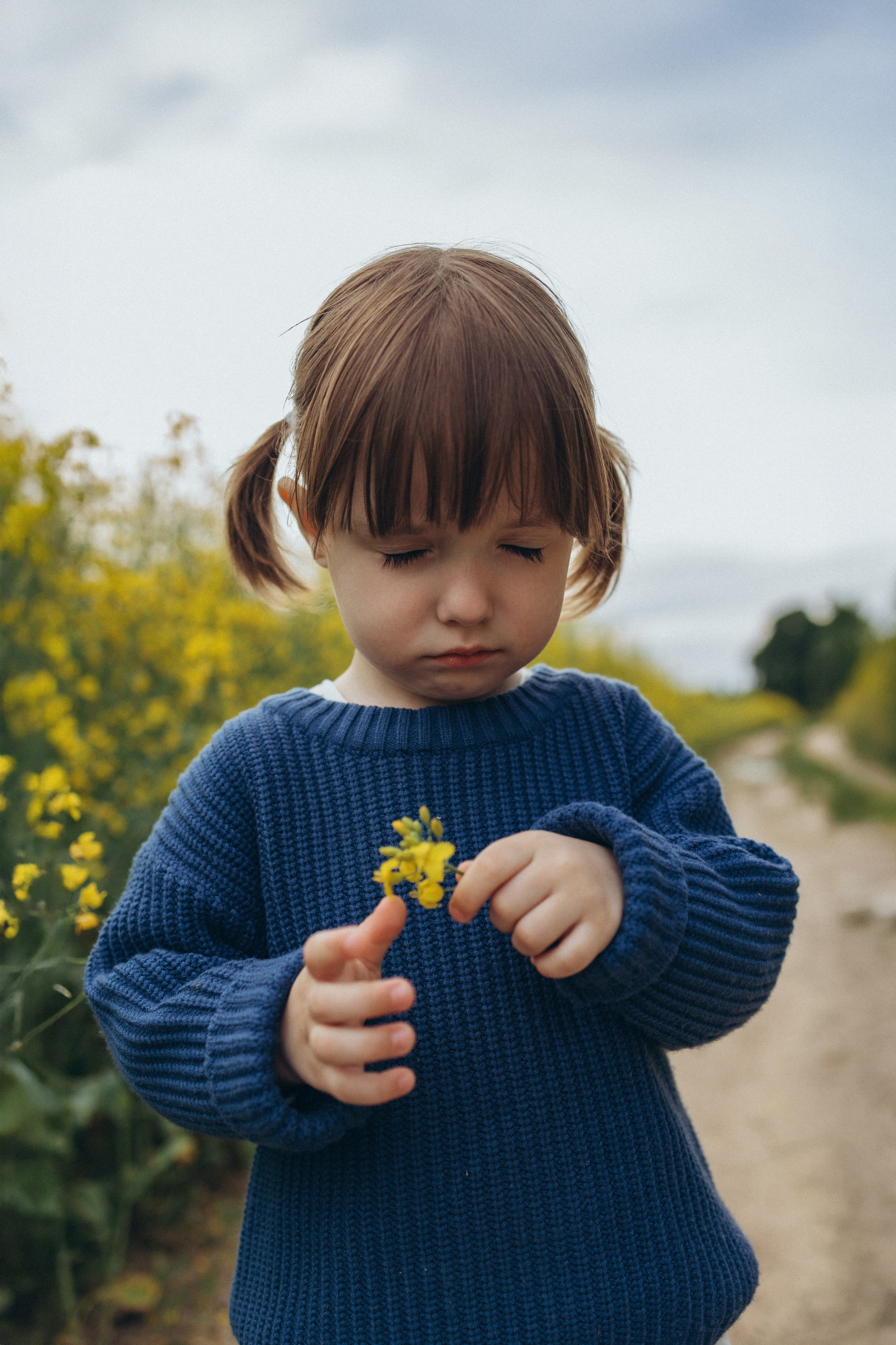 После дождя. Фотограф Елена Рябцева
