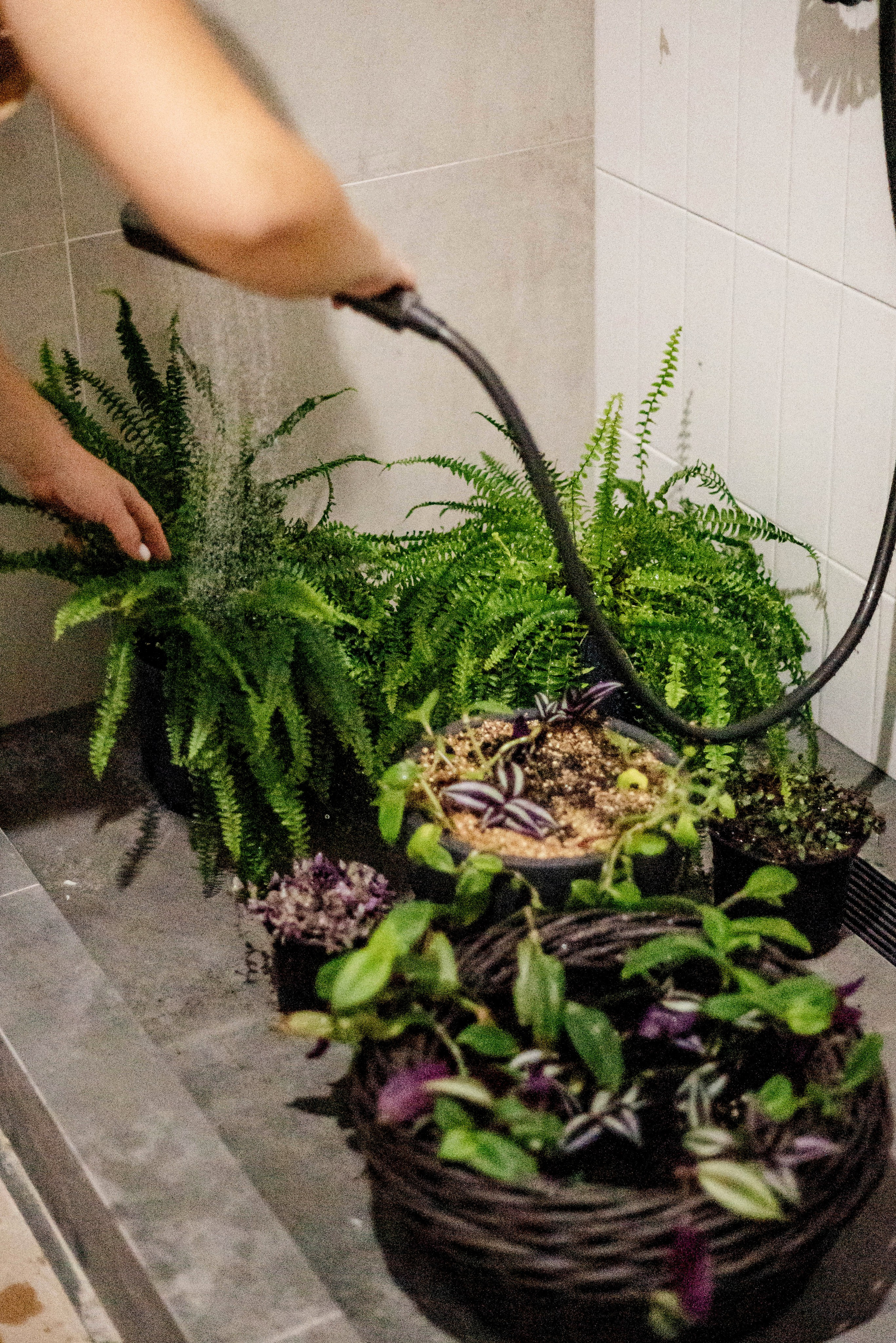 Зеленая душа с рисунком папоротника. Свадебный и семейный фотограф в Новосибирске, Санкт-Петербурге, Москве