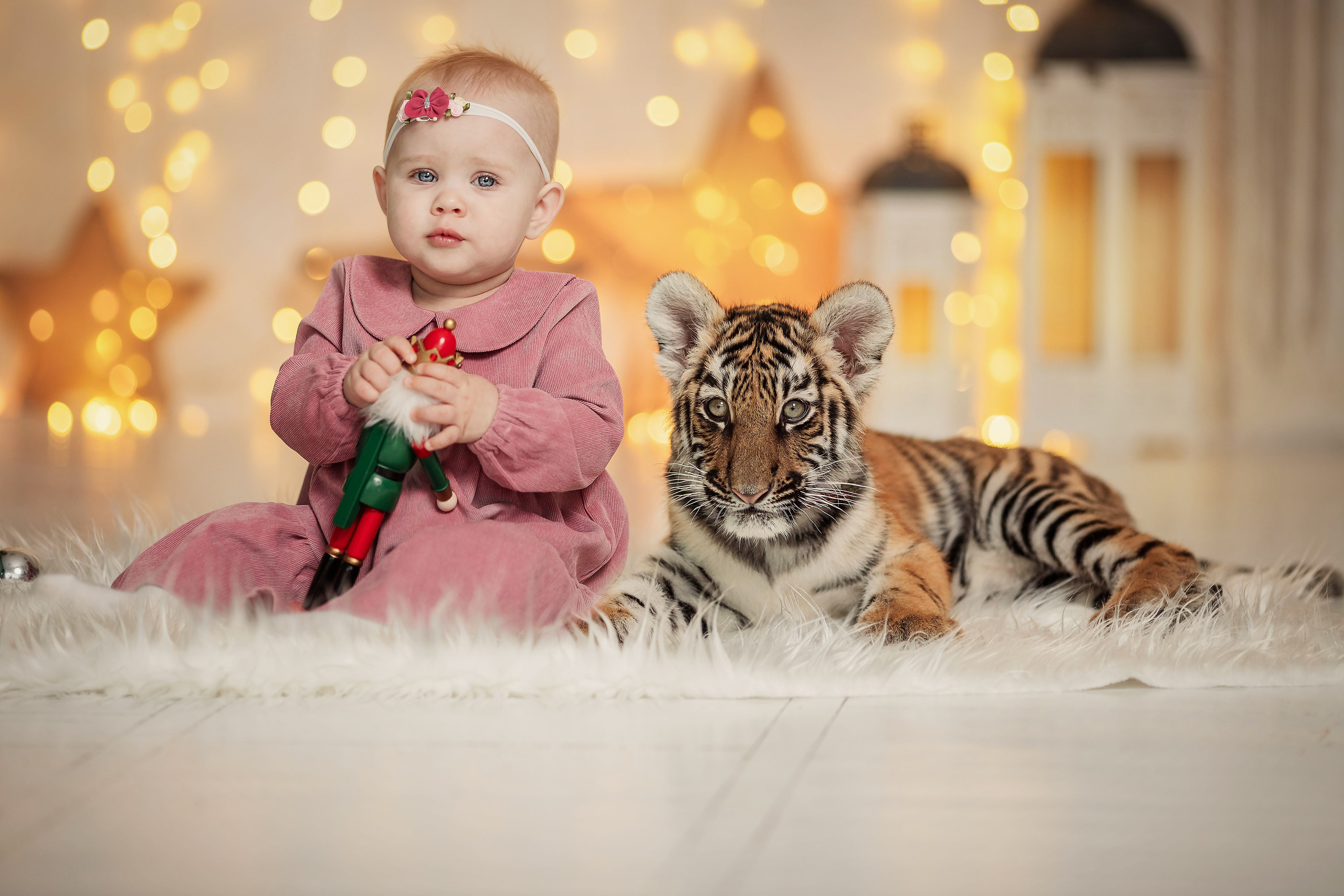 Съемки с разными животными. Детский и семейный фотограф Таганрог