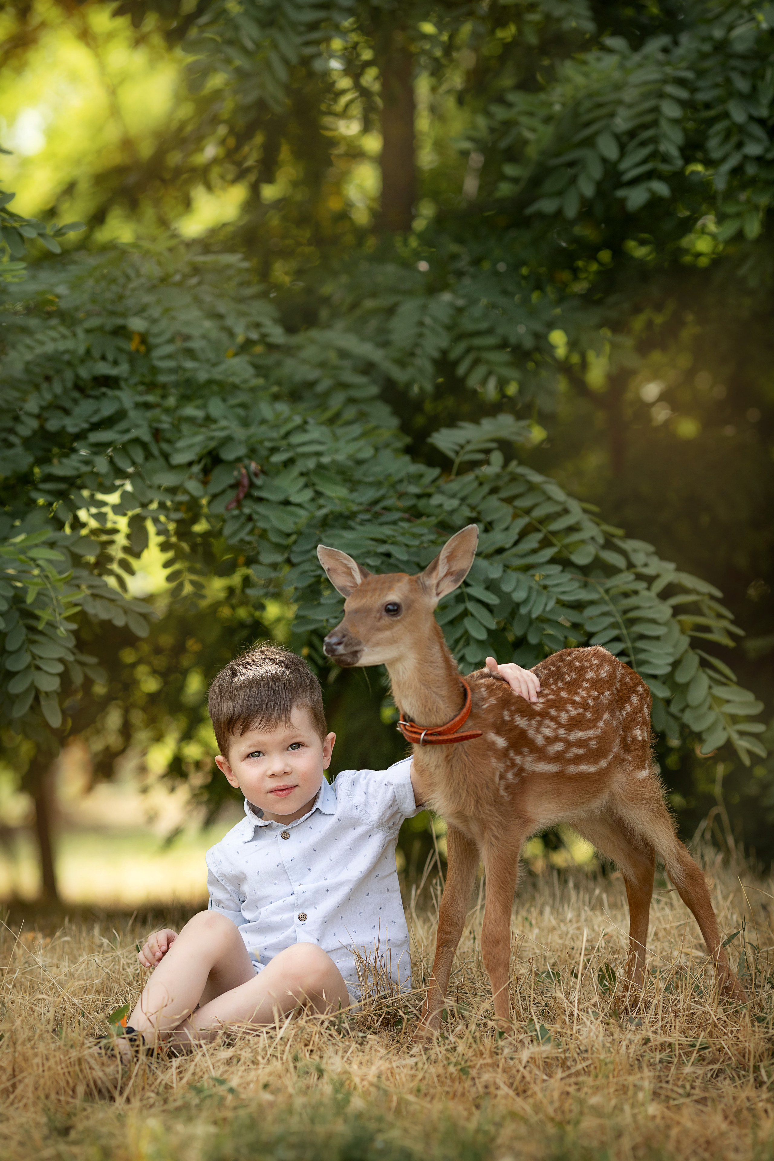 Съемки с разными животными. Детский и семейный фотограф Таганрог