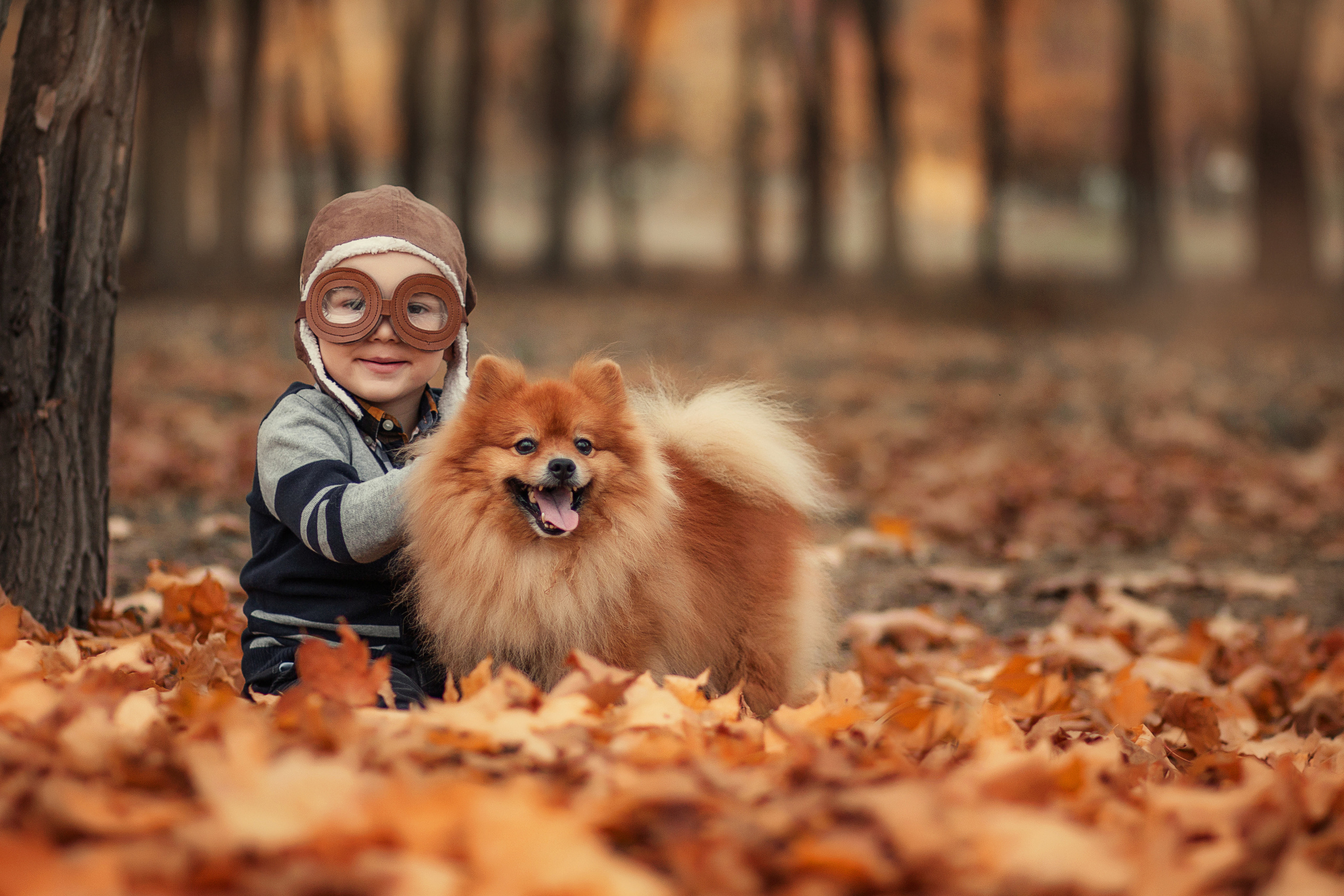 Съемки с разными животными. Детский и семейный фотограф Таганрог