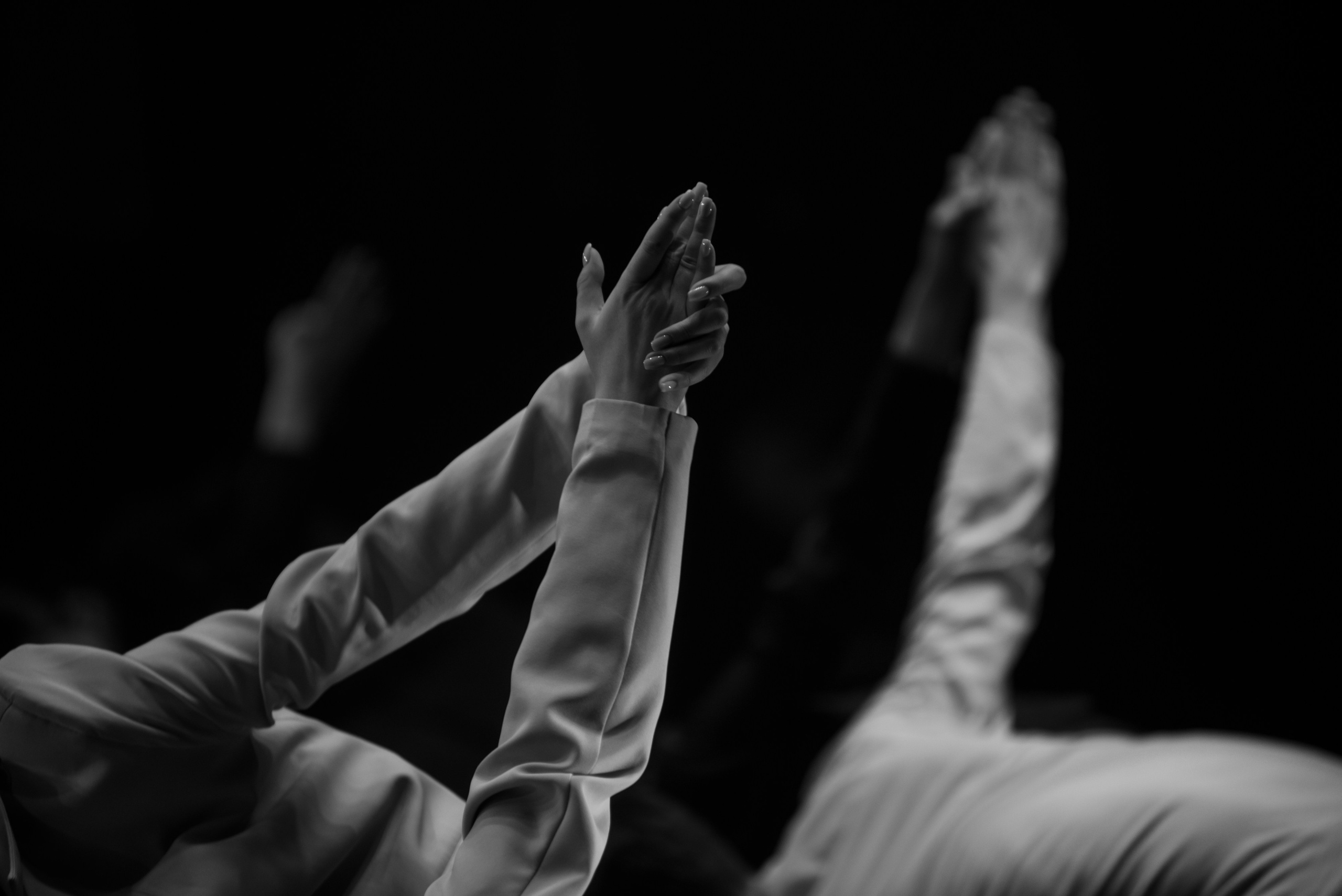 Фламинго | VNЕфокуса