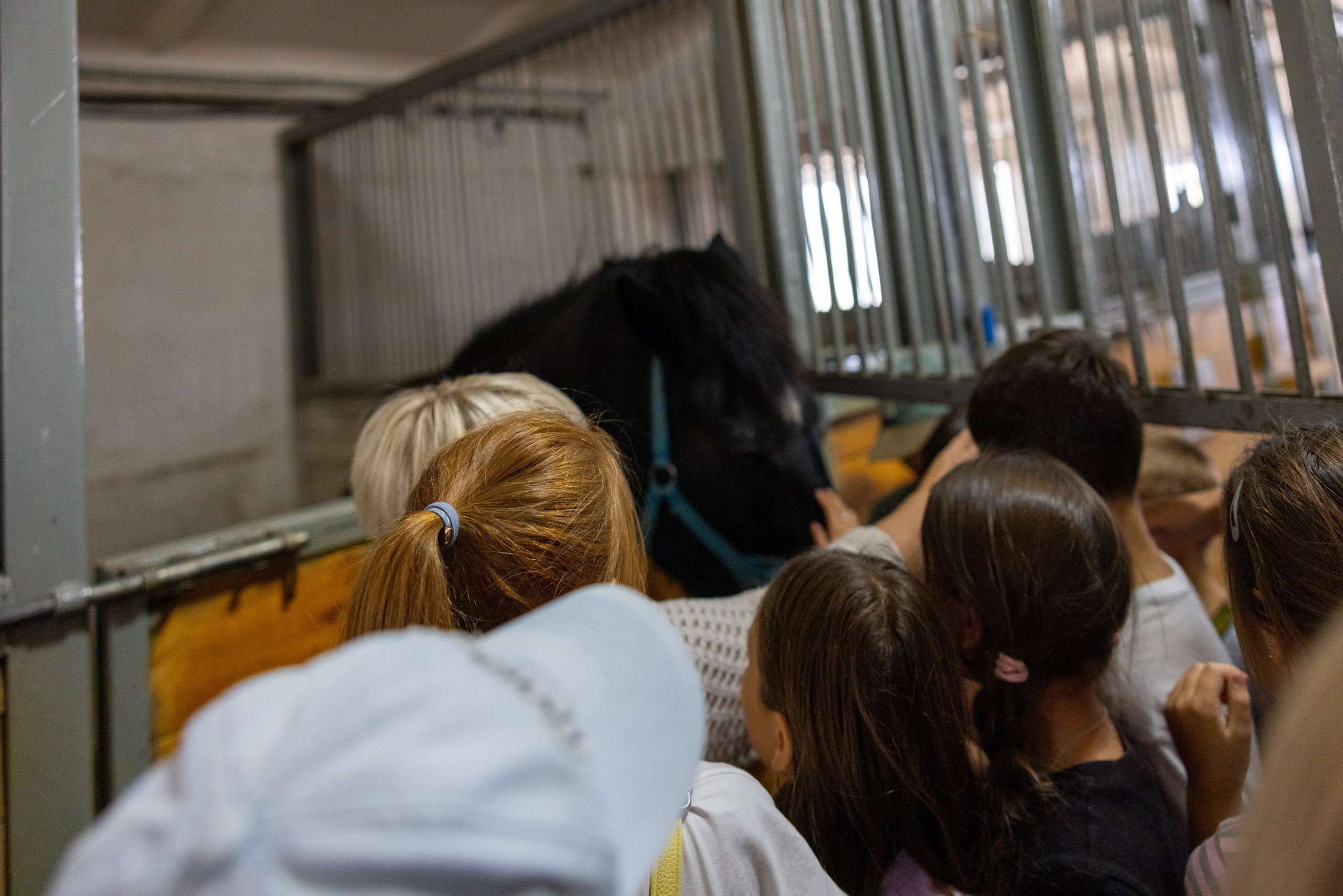 Поездка на поле Кулеково. Фотограф в Туле Крупский АнДРей. Фотостудия «КАДР71» в Туле