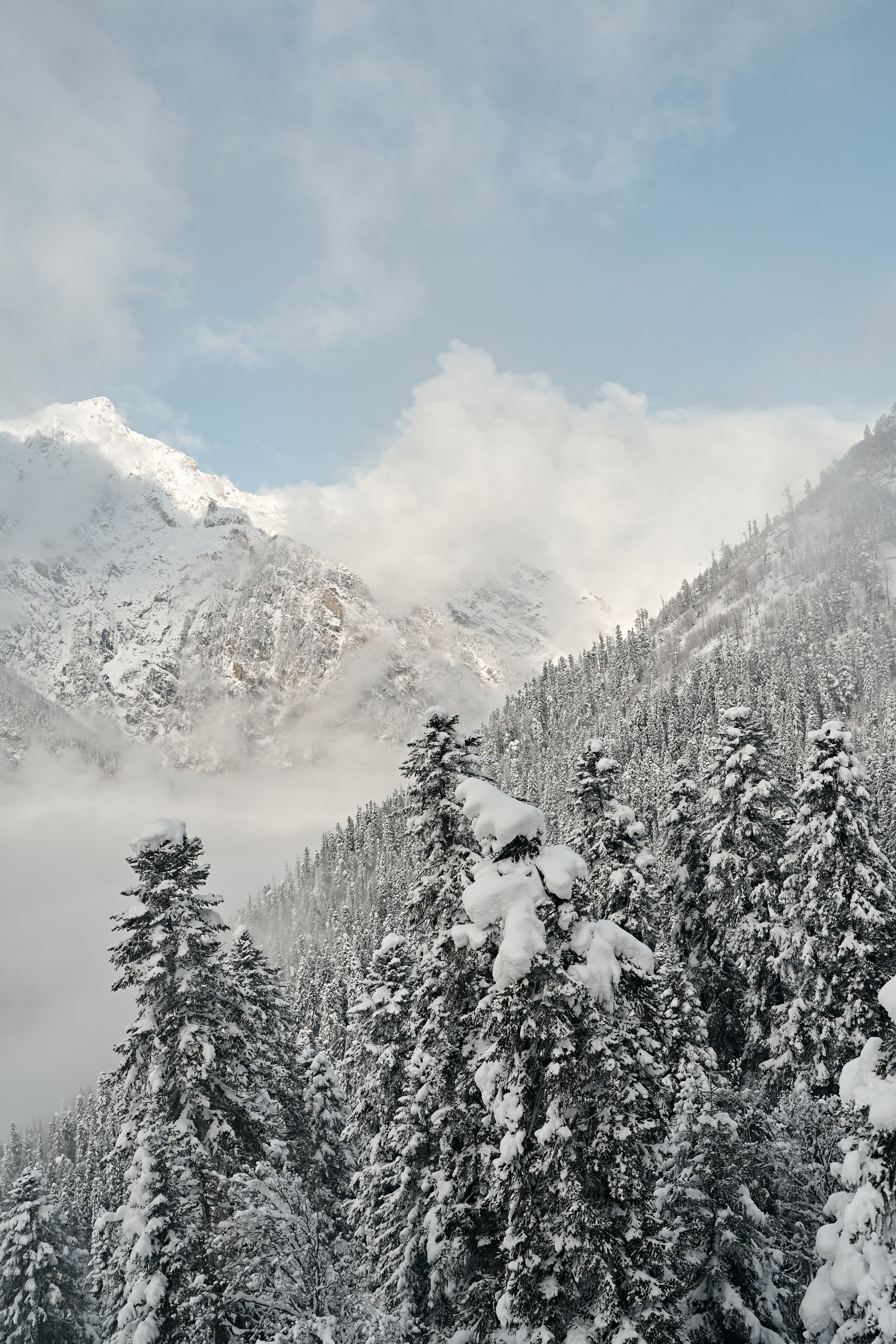 Блог. Фотограф и видеограф Елена Хмелевская