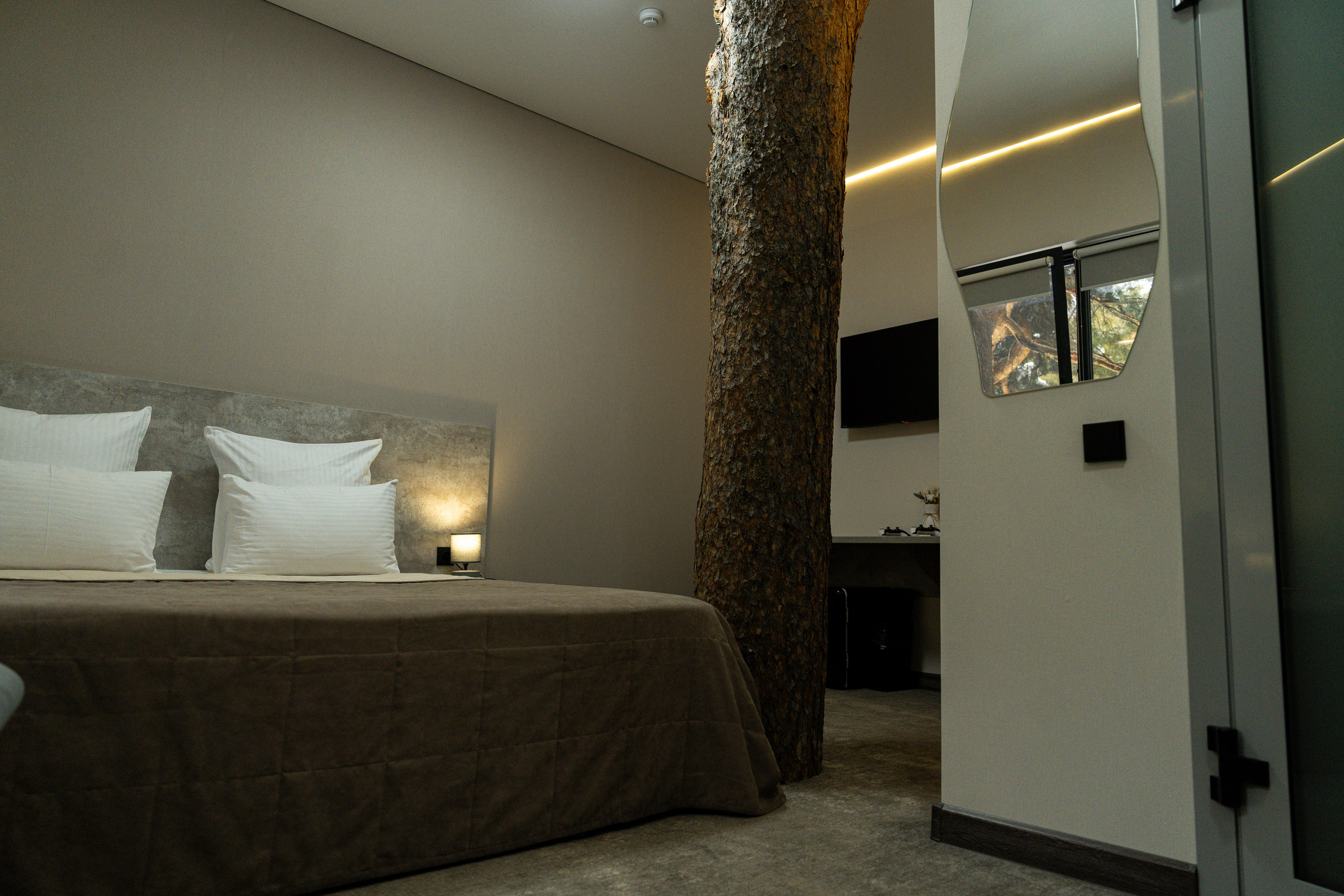 Эклер. Фотограф и видеограф Елена Хмелевская