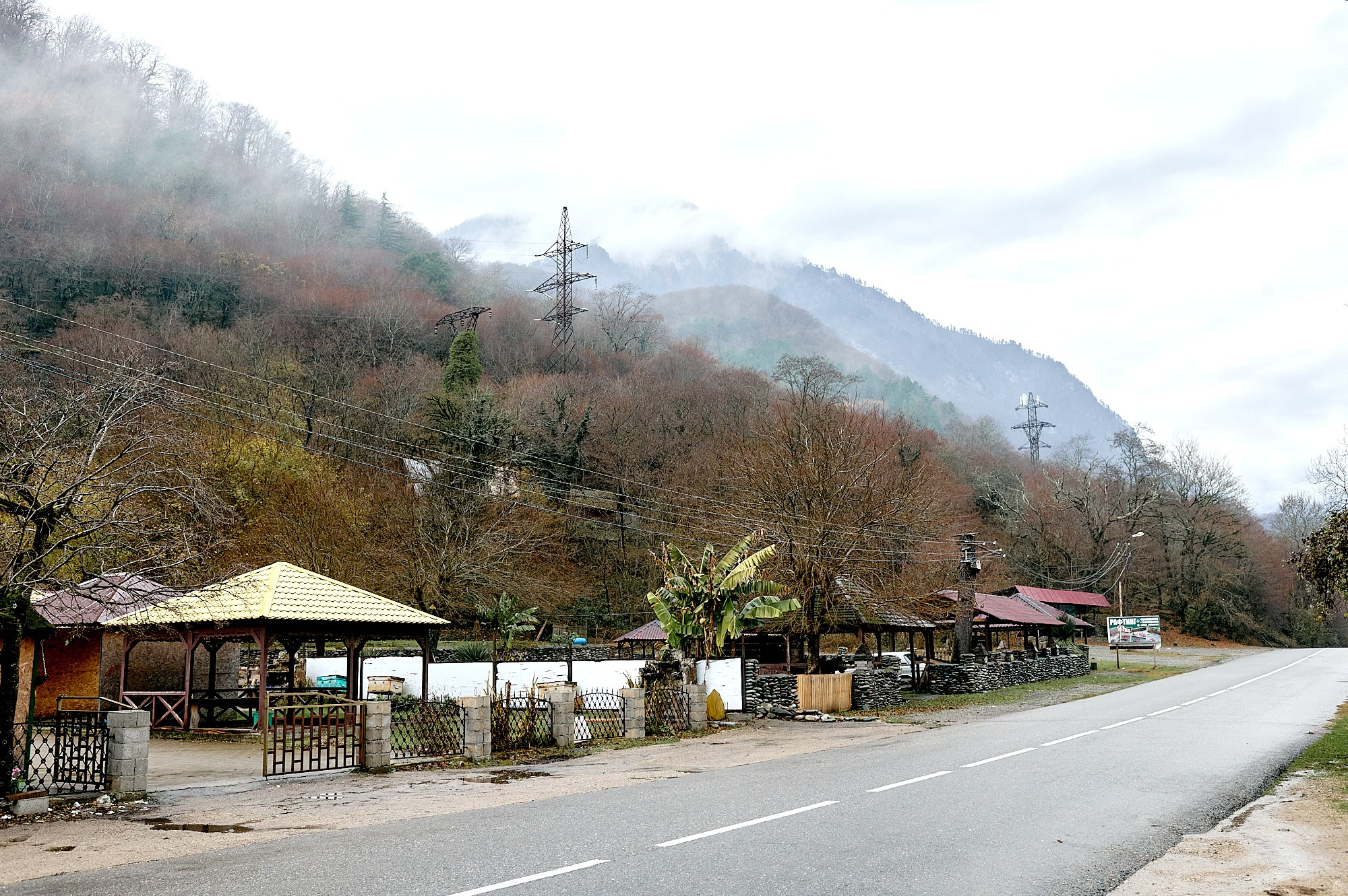 Озеро Рица, Абхазия. Декабрь 2024. Фотографии отовсюду и обо всем