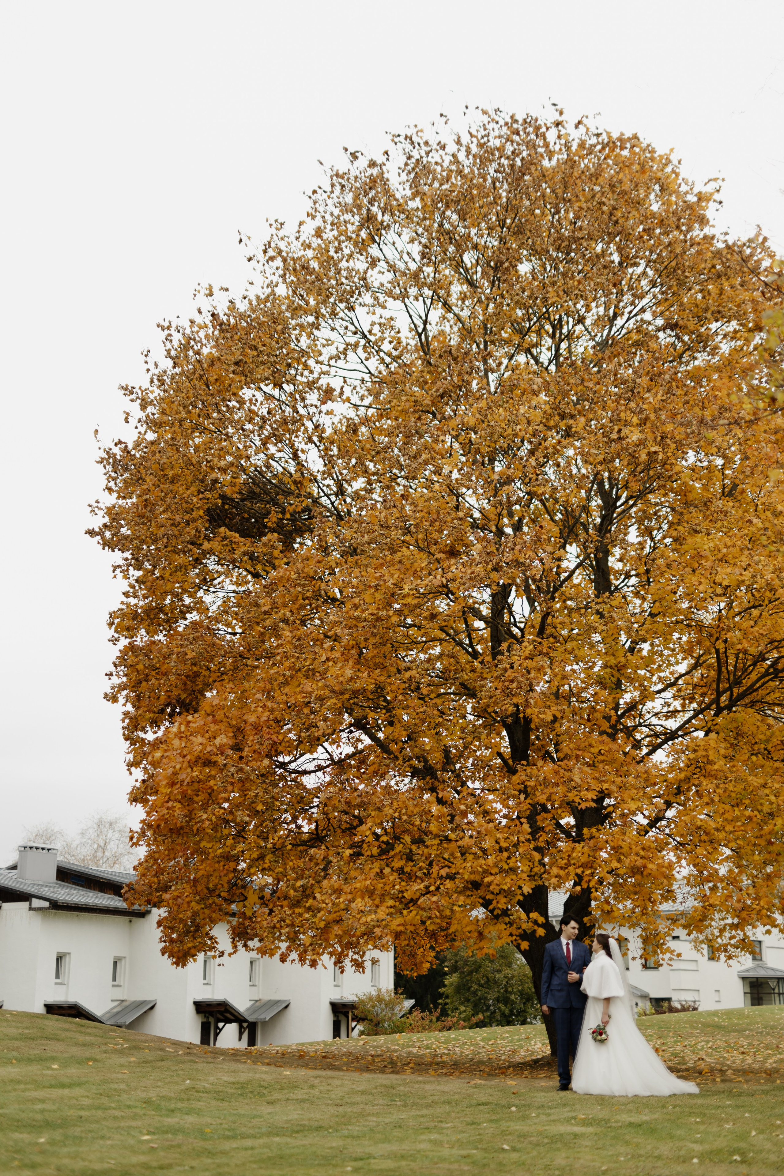 Свадьба Даниила и Виктории. Фотограф Кольчугино/Владимир/Москва Елизавета Иода