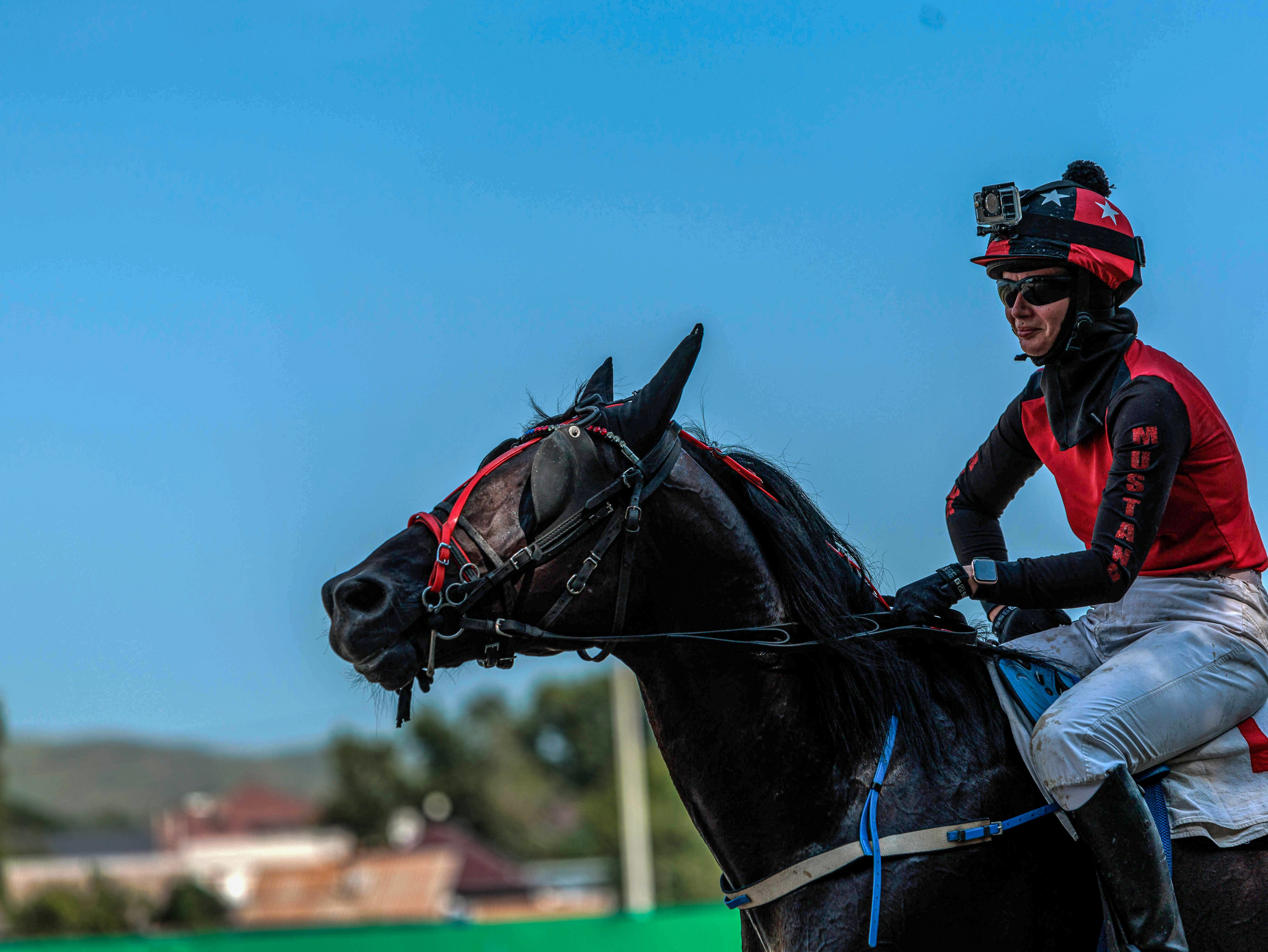 Зарисовки Абаканский ипподром 2025. Конный фотограф в Красноярске — Любовь Похабова