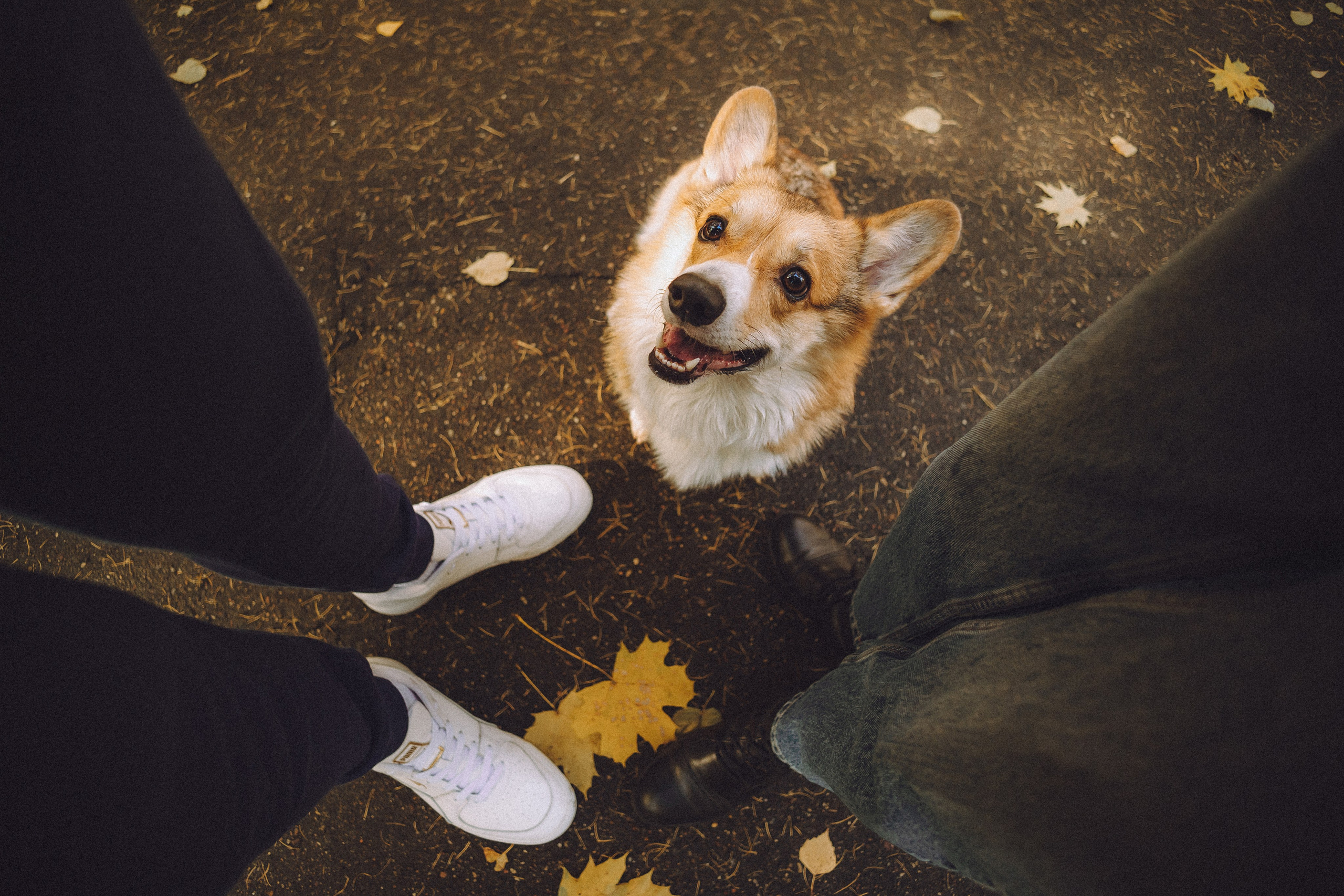 Карина, Даня и Аркаша