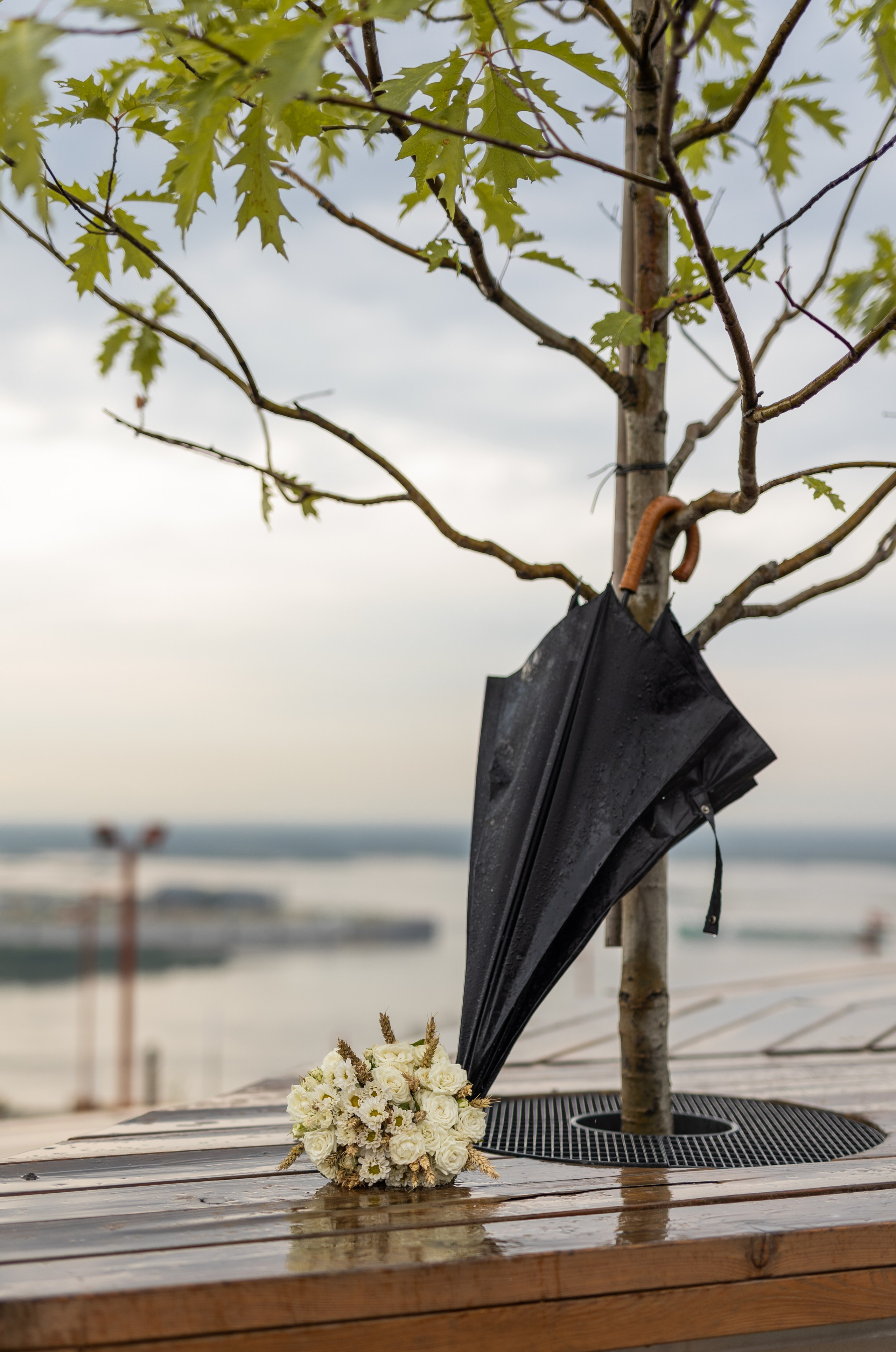 Денис и Лилия. Фотограф в Нижнем Новгороде, Дзержинске Олеся Хозяева