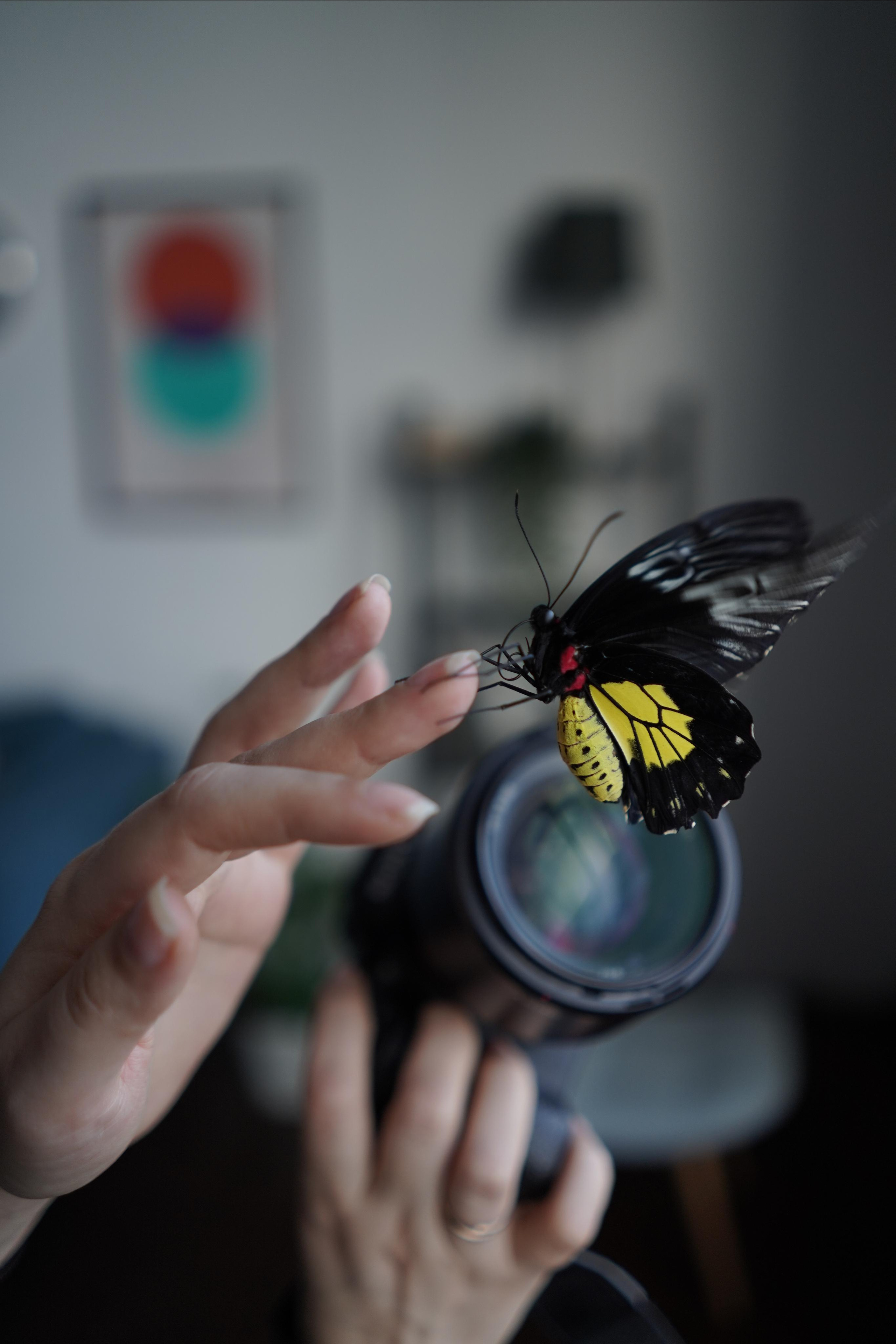 Контент-съёмка Ольга. Ольга Олейник Фотография — это жизнь