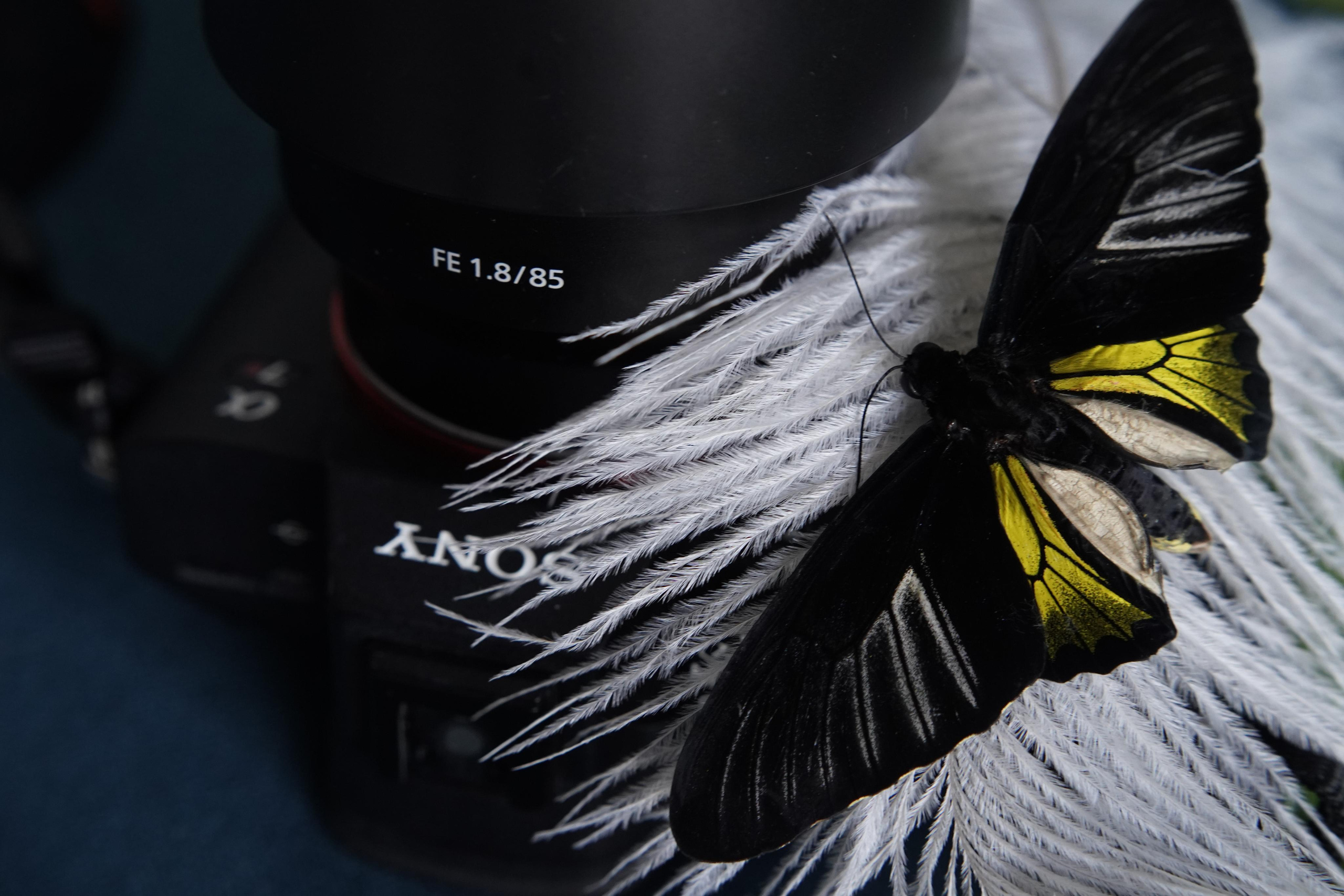 Контент-съёмка Ольга. Ольга Олейник Фотография — это жизнь