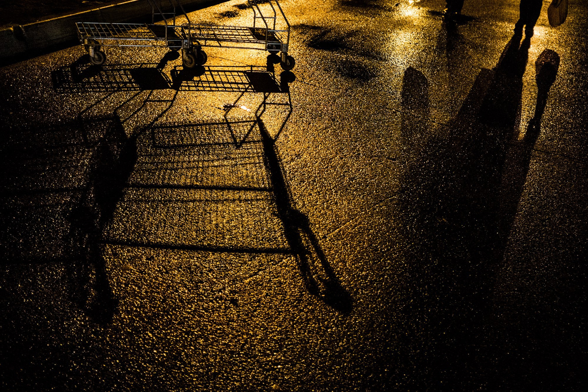 Одиночные фотографии. Алёна Кочеткова | фотограф и преподаватель фотографии