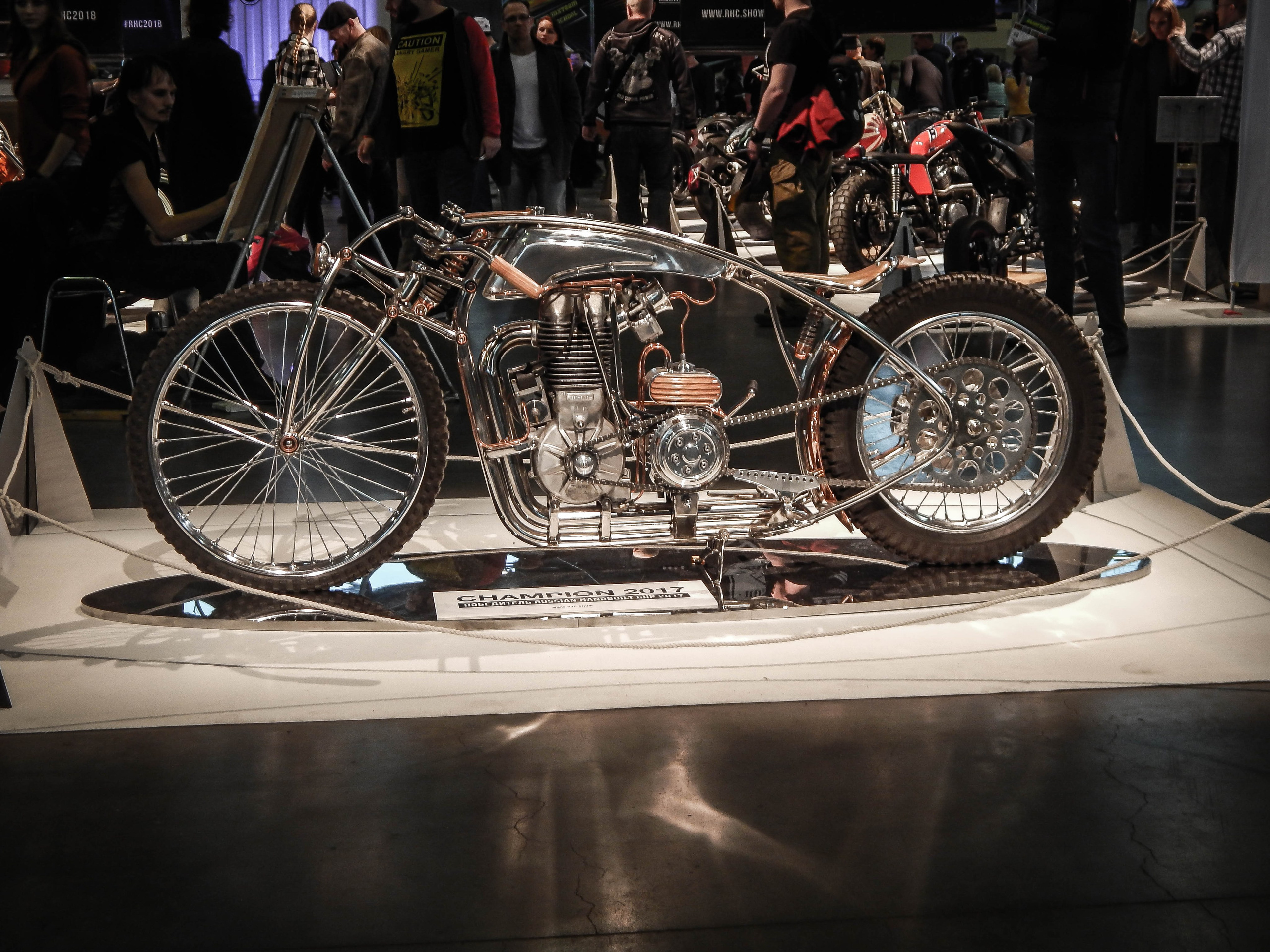 IMIS 2019. Александр Попов