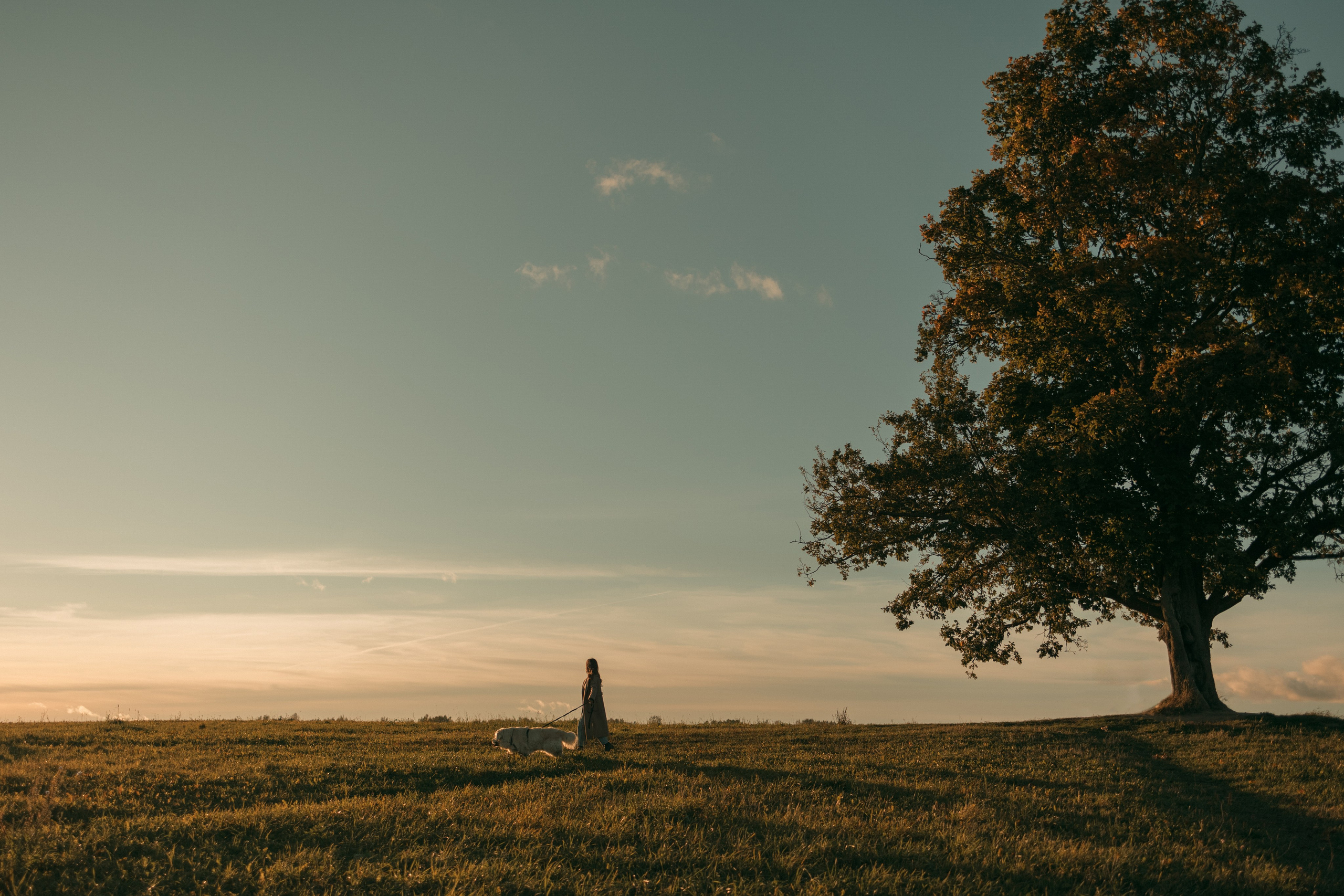 Лера и Скай. Фотограф — Анималист | Санкт-Петербург