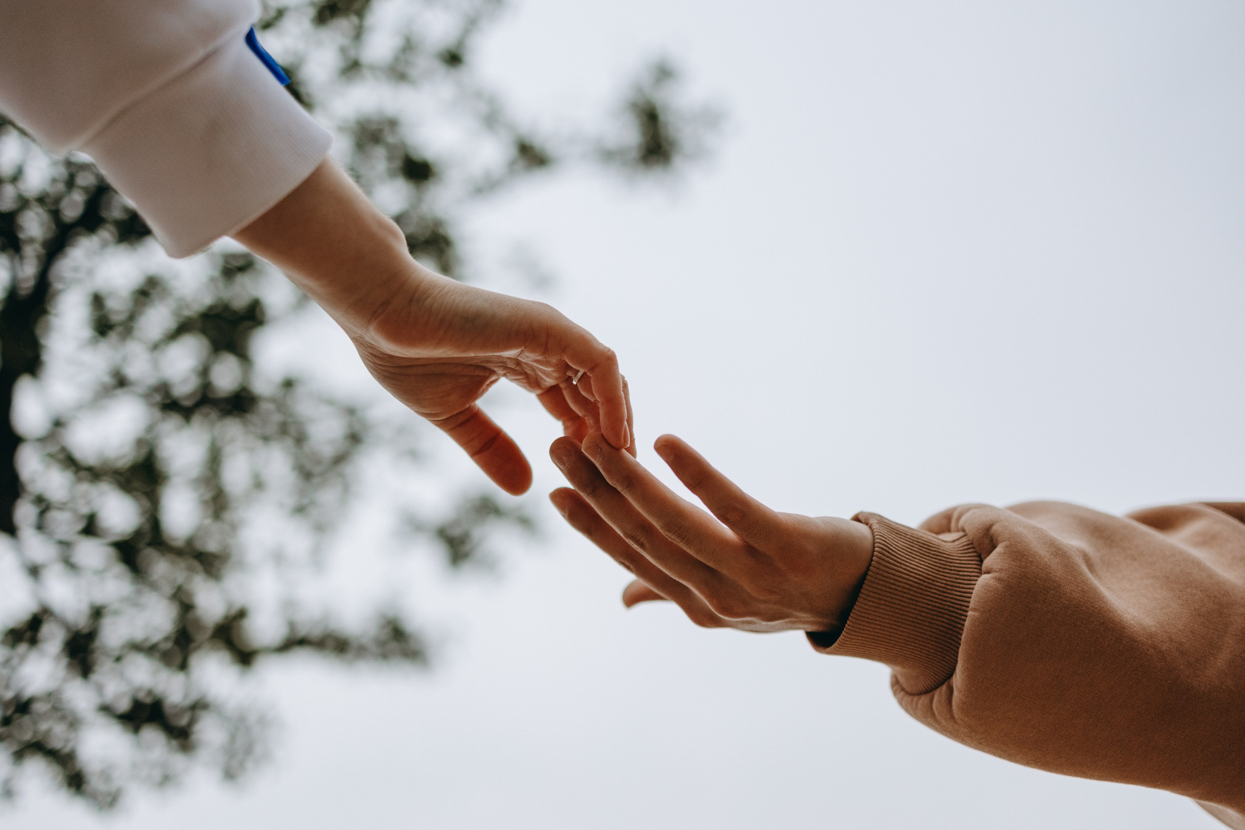 Фоси и его семьи. Фотограф — Анималист | Санкт-Петербург