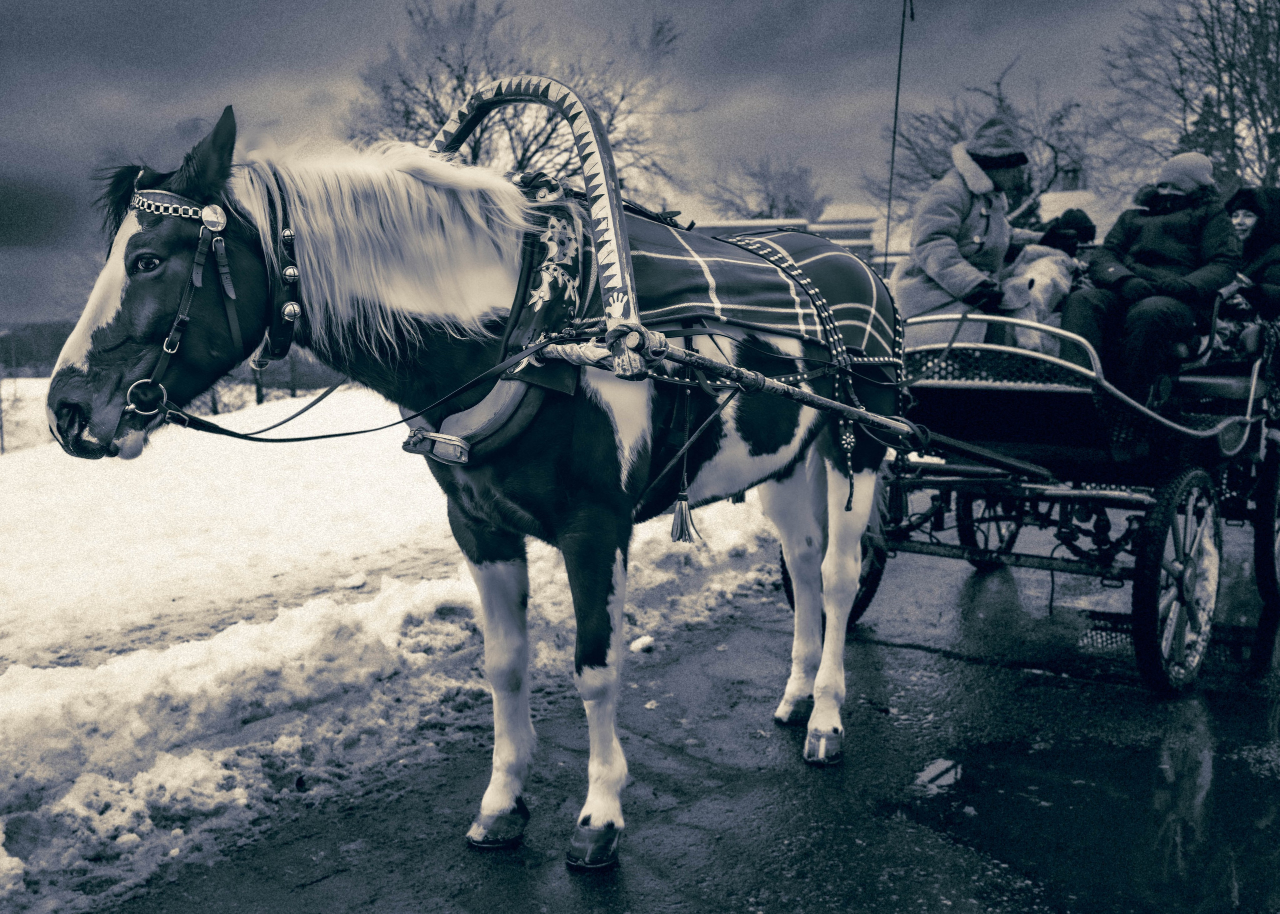 ПЛАНЕТА ЗЕМЛЯ (пейзаж). АЛЕКСЕЙ КОЛМАКОВ. Фотограф. Москва и Московская область