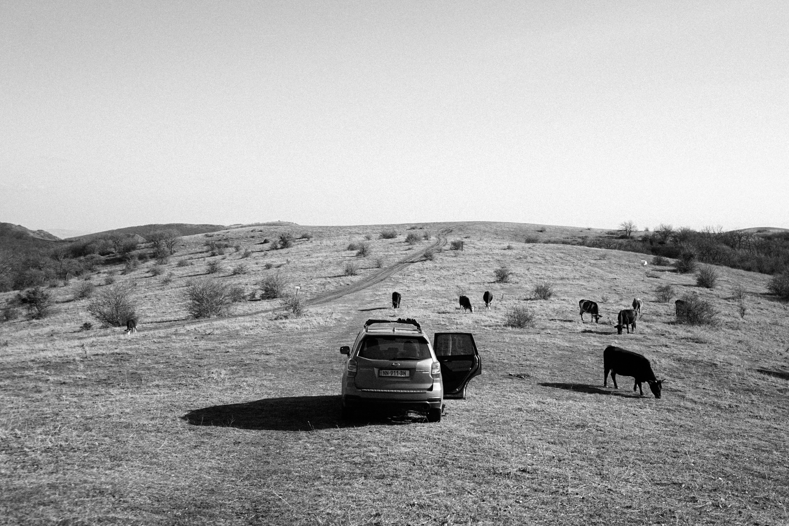 Wedding photographer in Georgia. Photographer in Georgia UAE Russia Nekit Fox