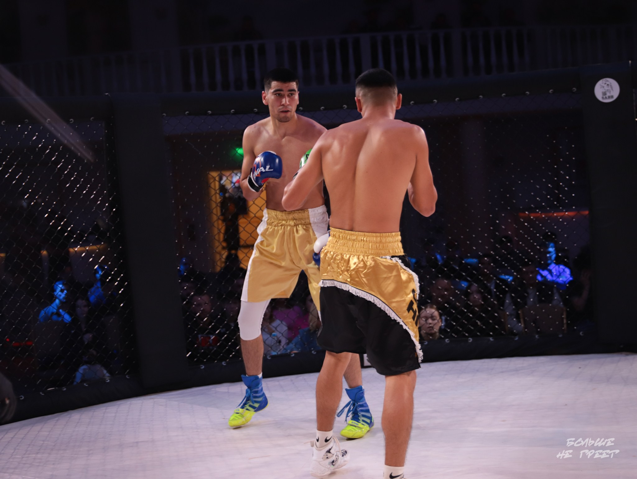 SABR FIGHTING. Больше не греет