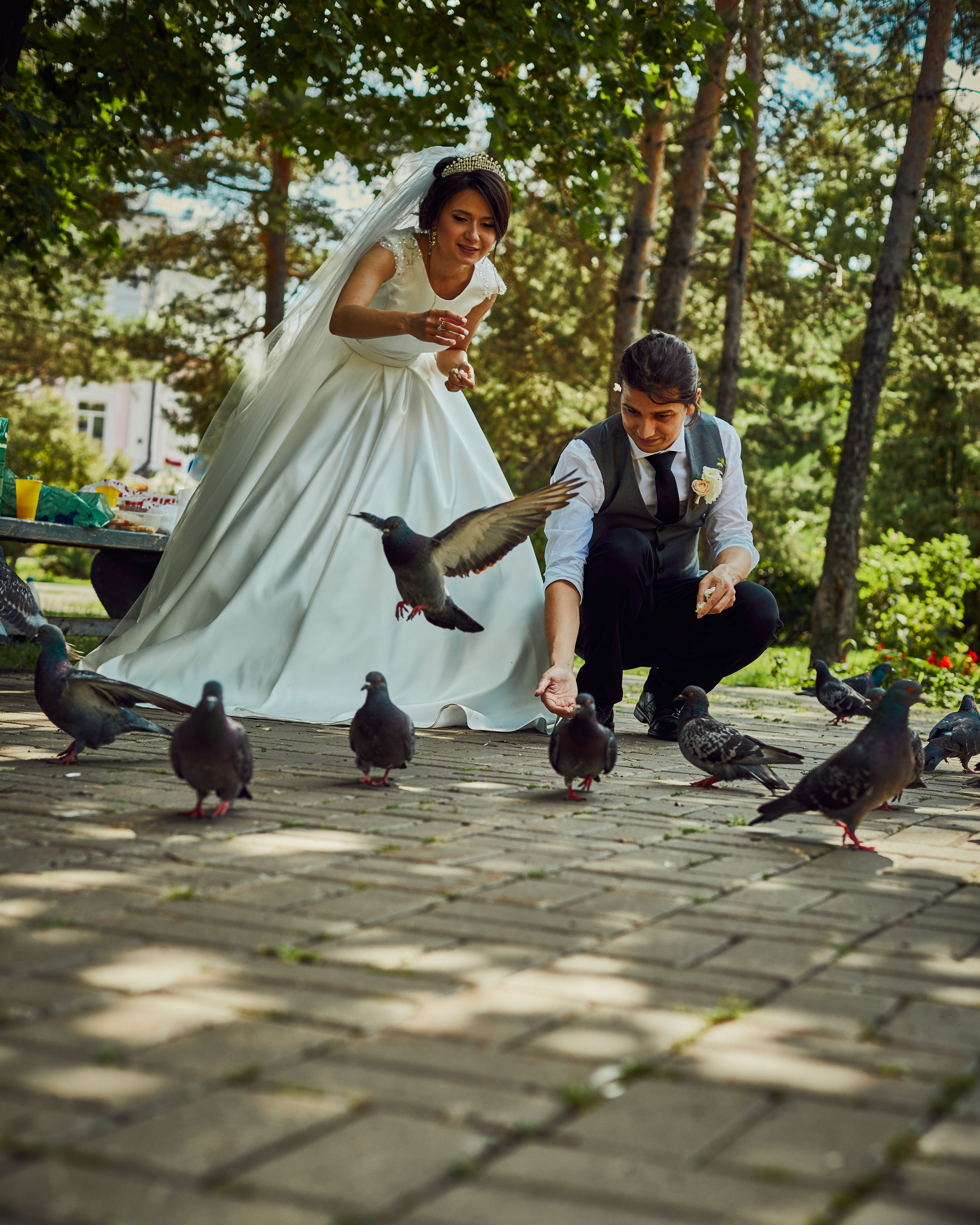 Кормежка голубей на свадьбе