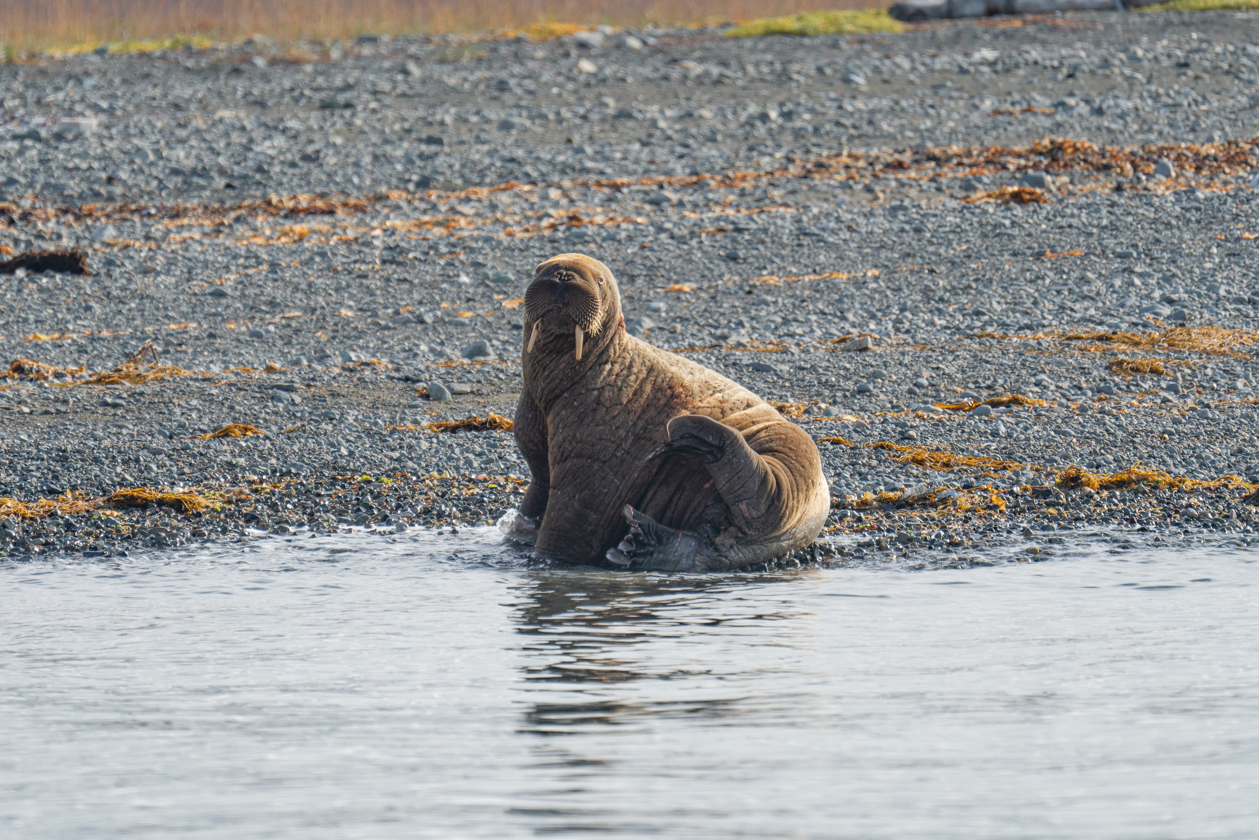 Чукотка. Gusarov Travel Photography