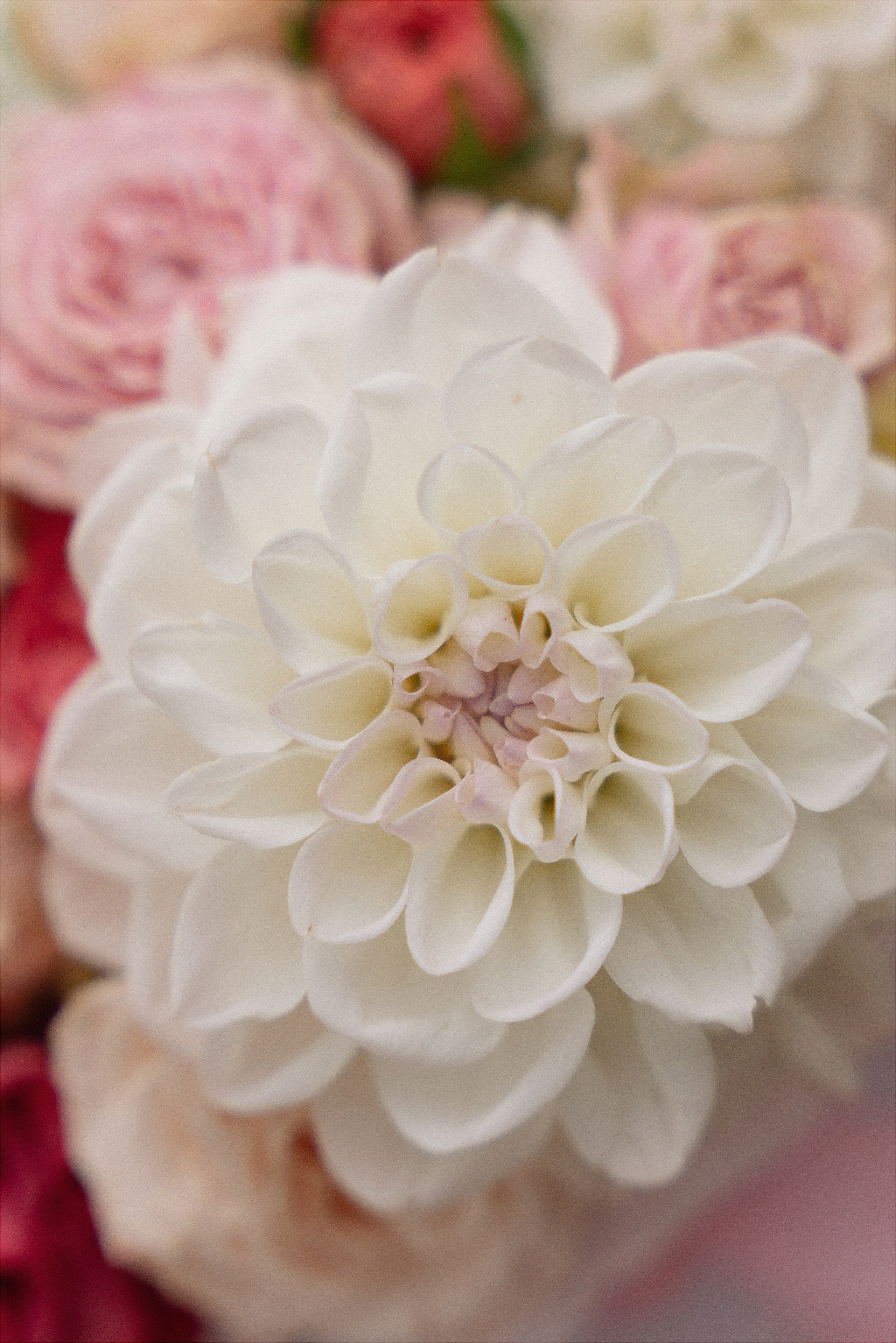 Даня и Лена