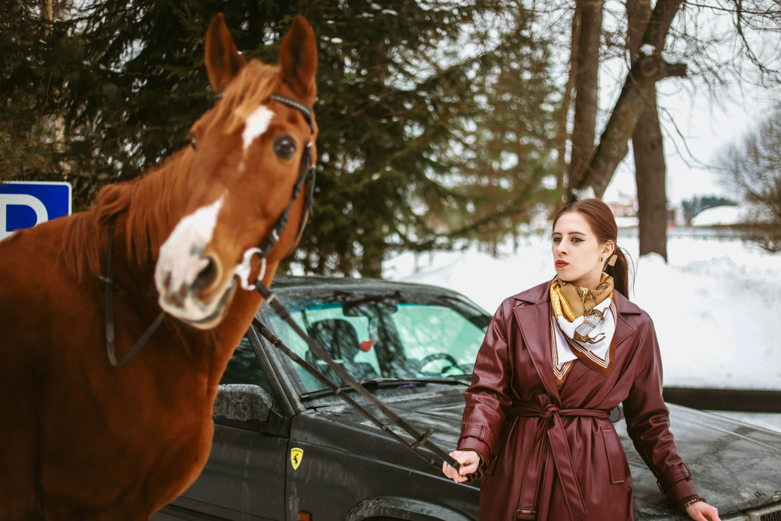 Фотосессии с лошадьми