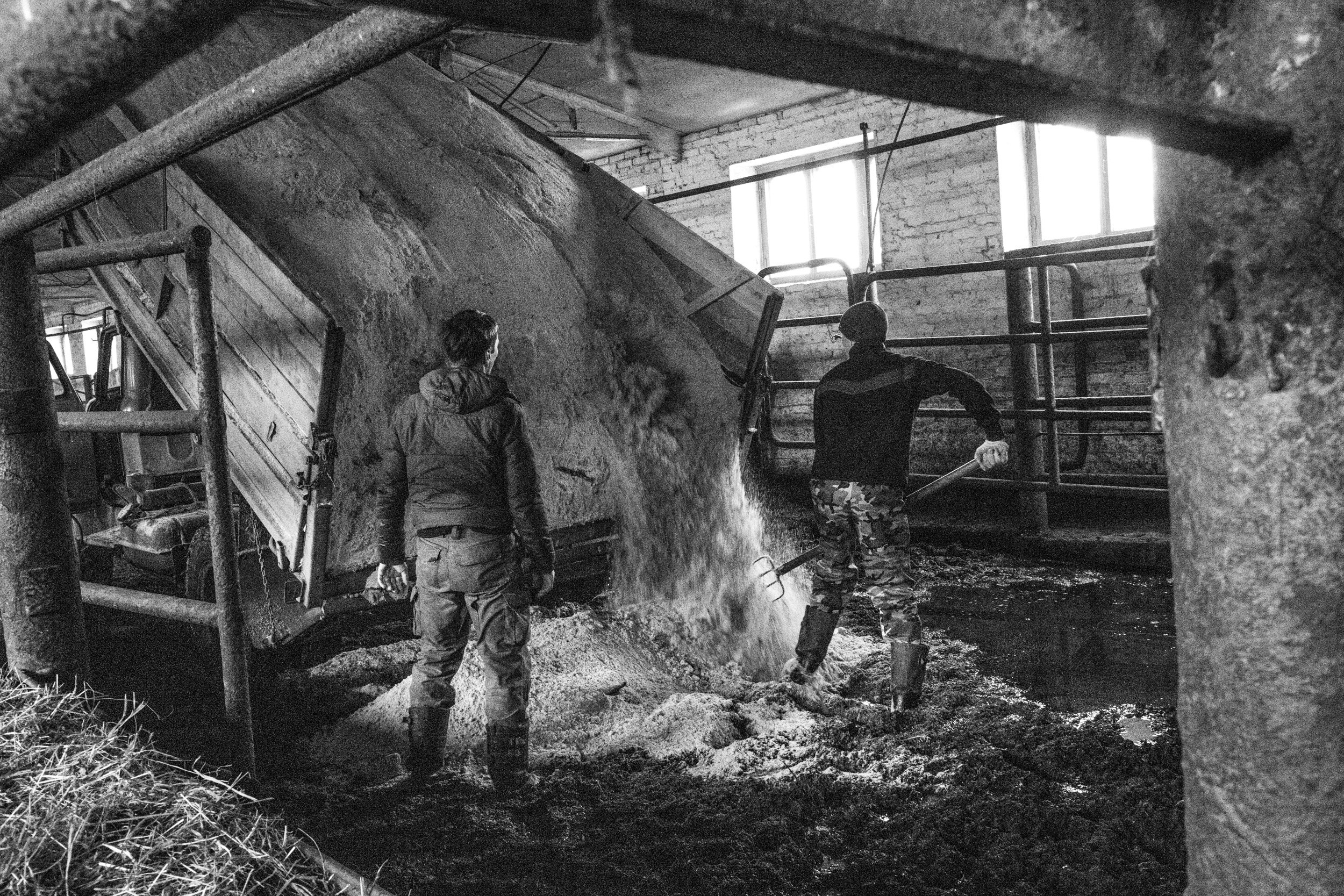 Татьяна Корчагина. Фотограф, художник. Обучение фотографии