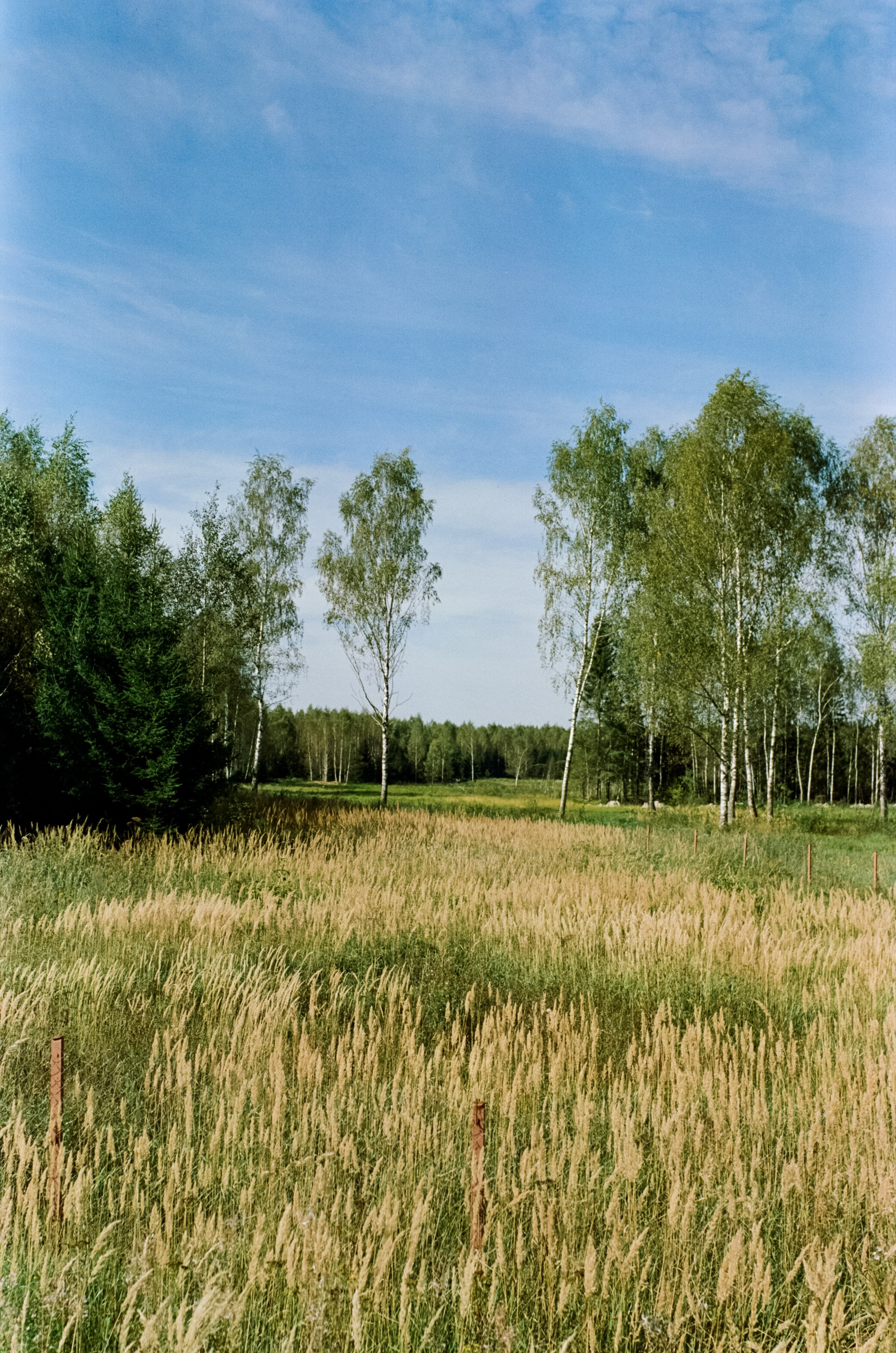 Mamiya 645 PRO обзор и примеры фотографий