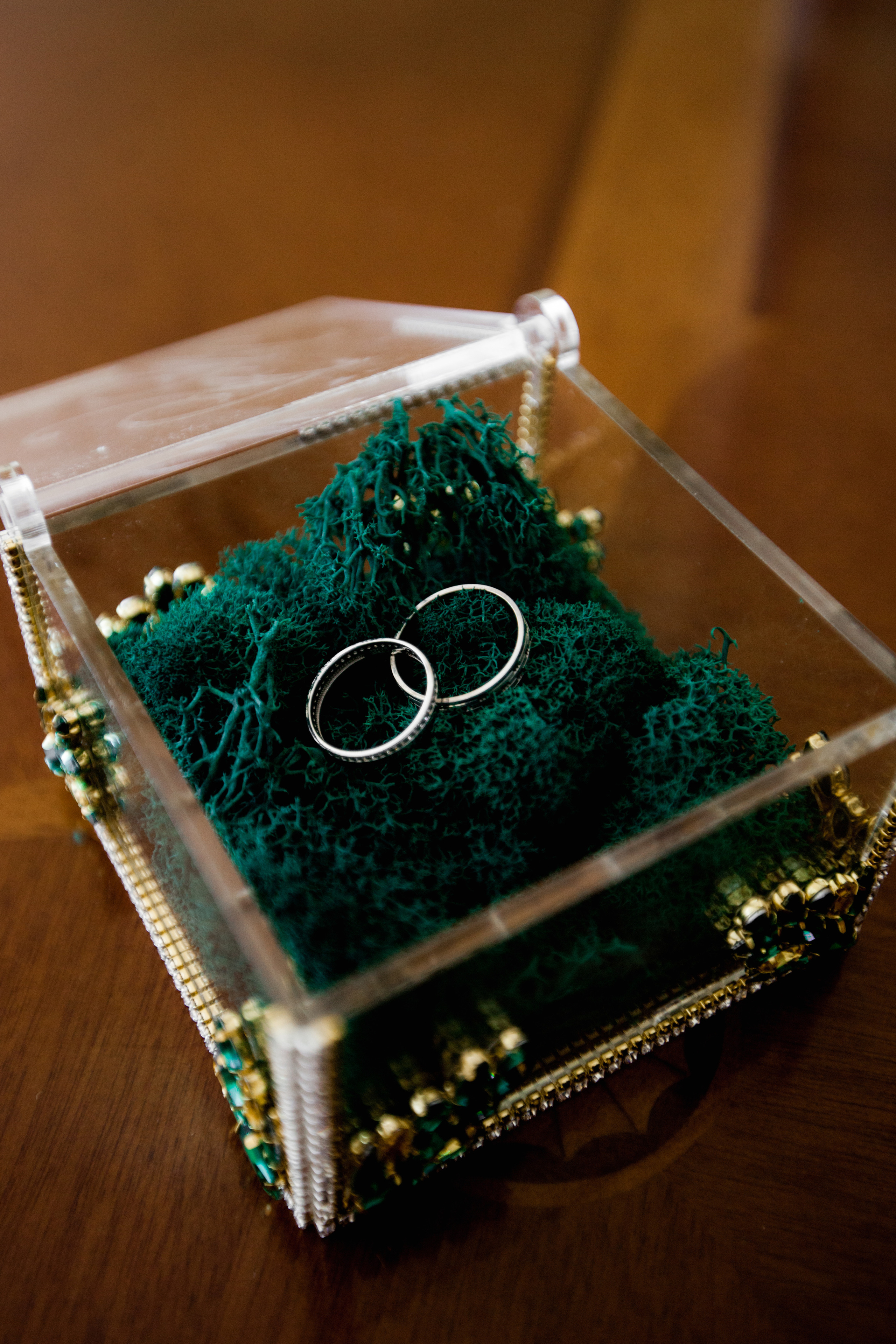 Анатолий и Марина (полный день). Дарья Алейникова фотограф во Владивостоке