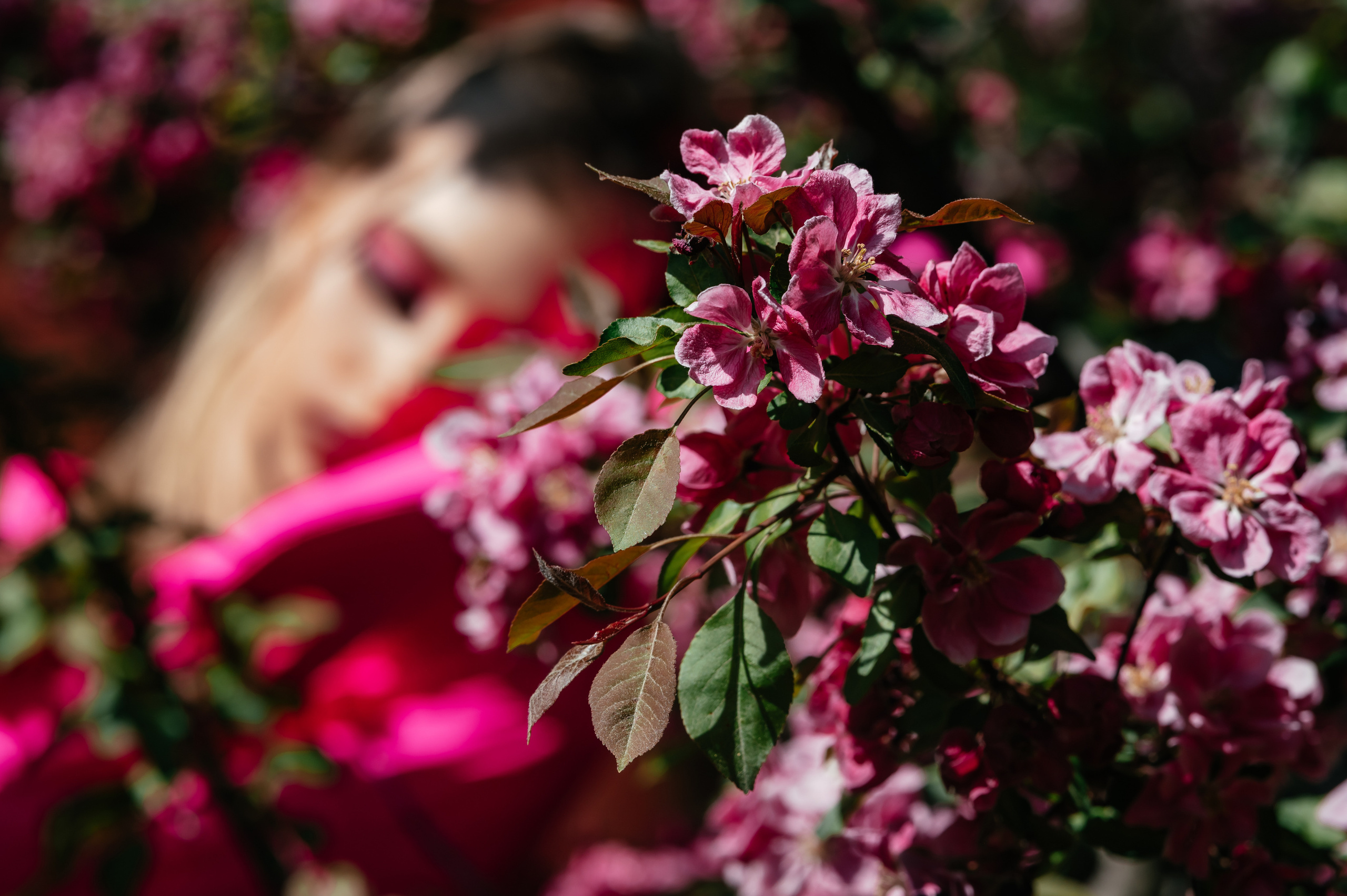 Что и где цветёт в Щёлково. Свадебный и семейный фотограф Виктория Носачёва. Щелково, Москва и МО