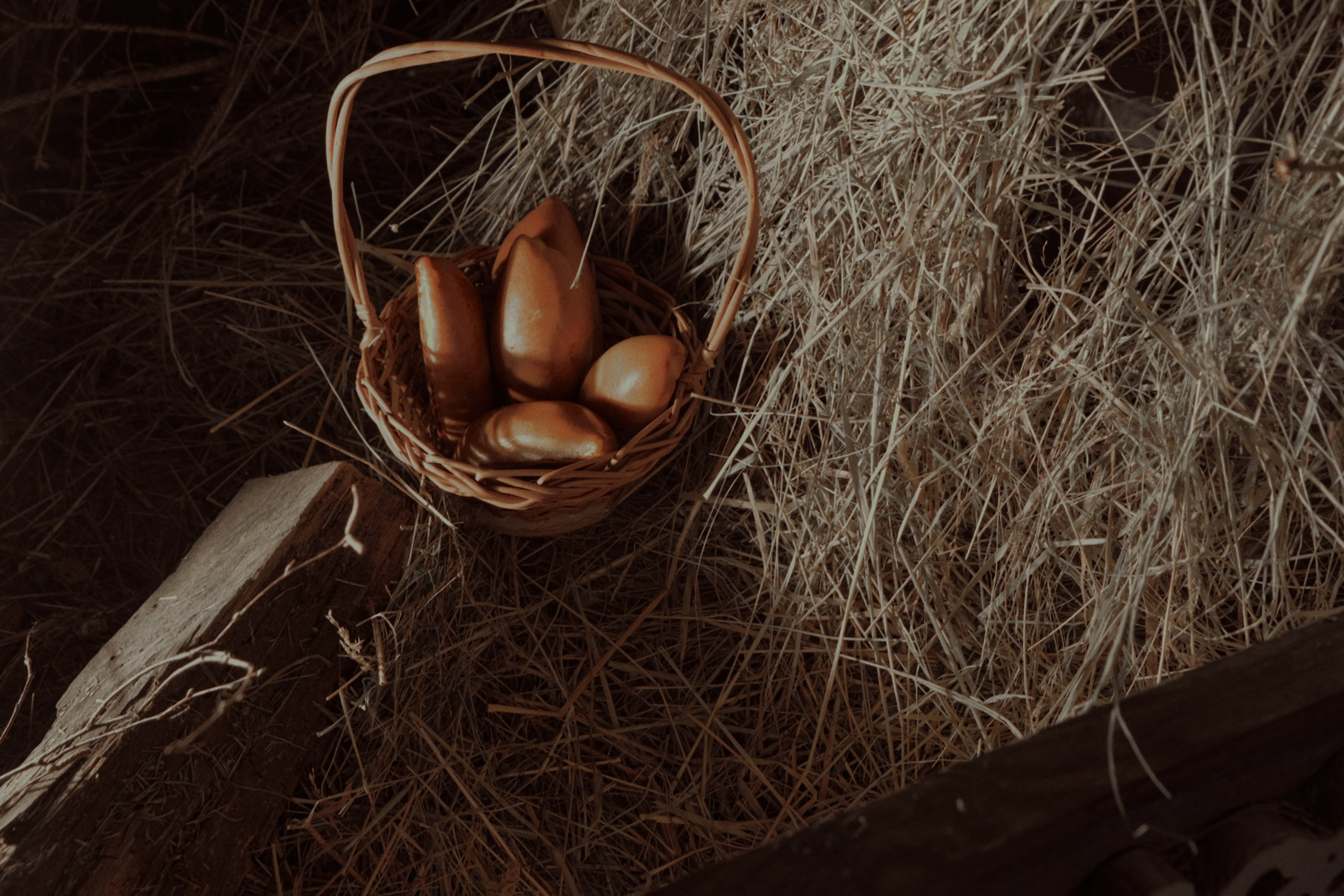 Гуси Лебеди. Фотограф Настя Лев